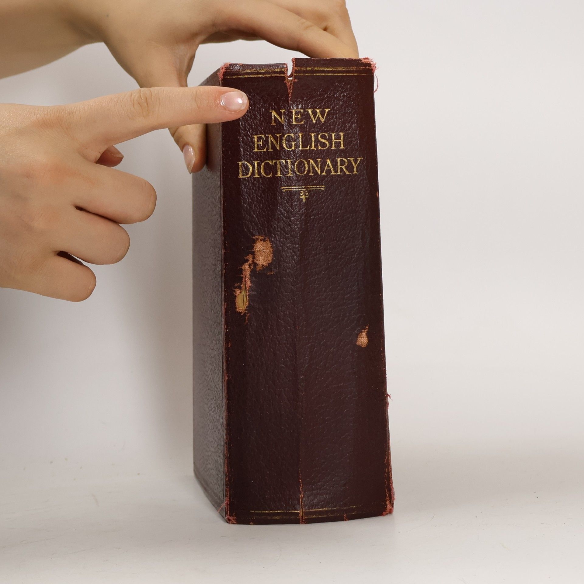 Various authors New English Dictionary