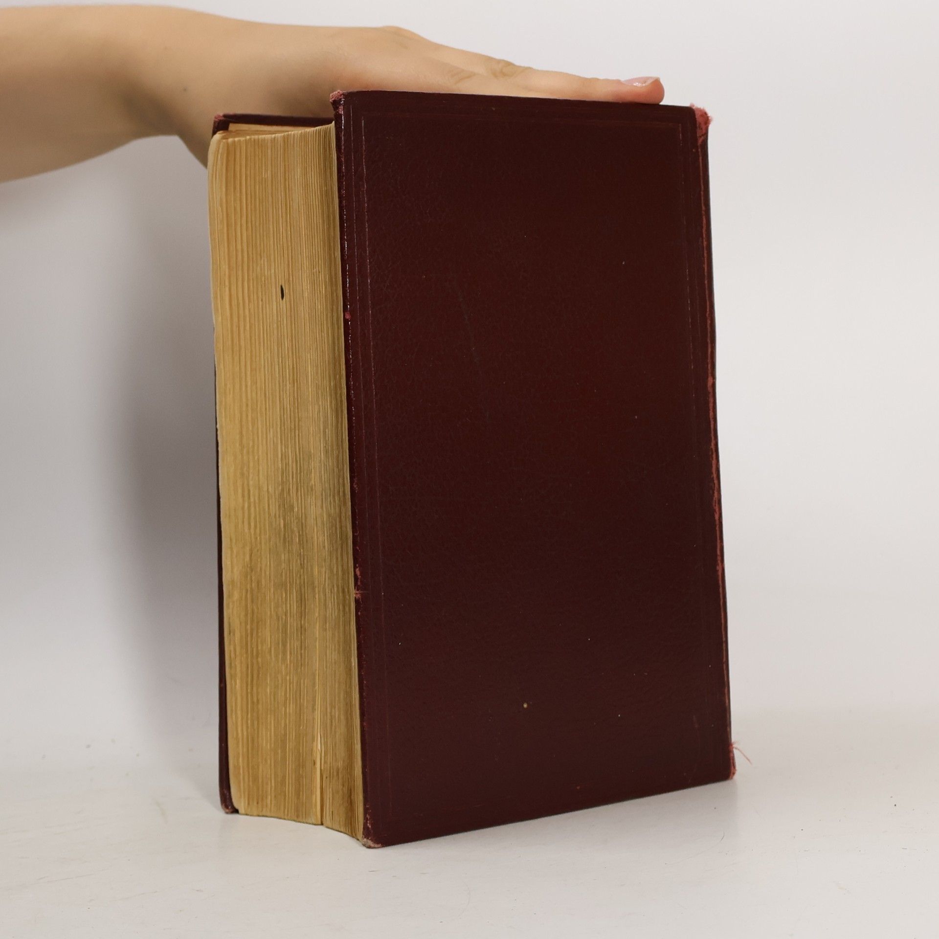 Various authors New English Dictionary
