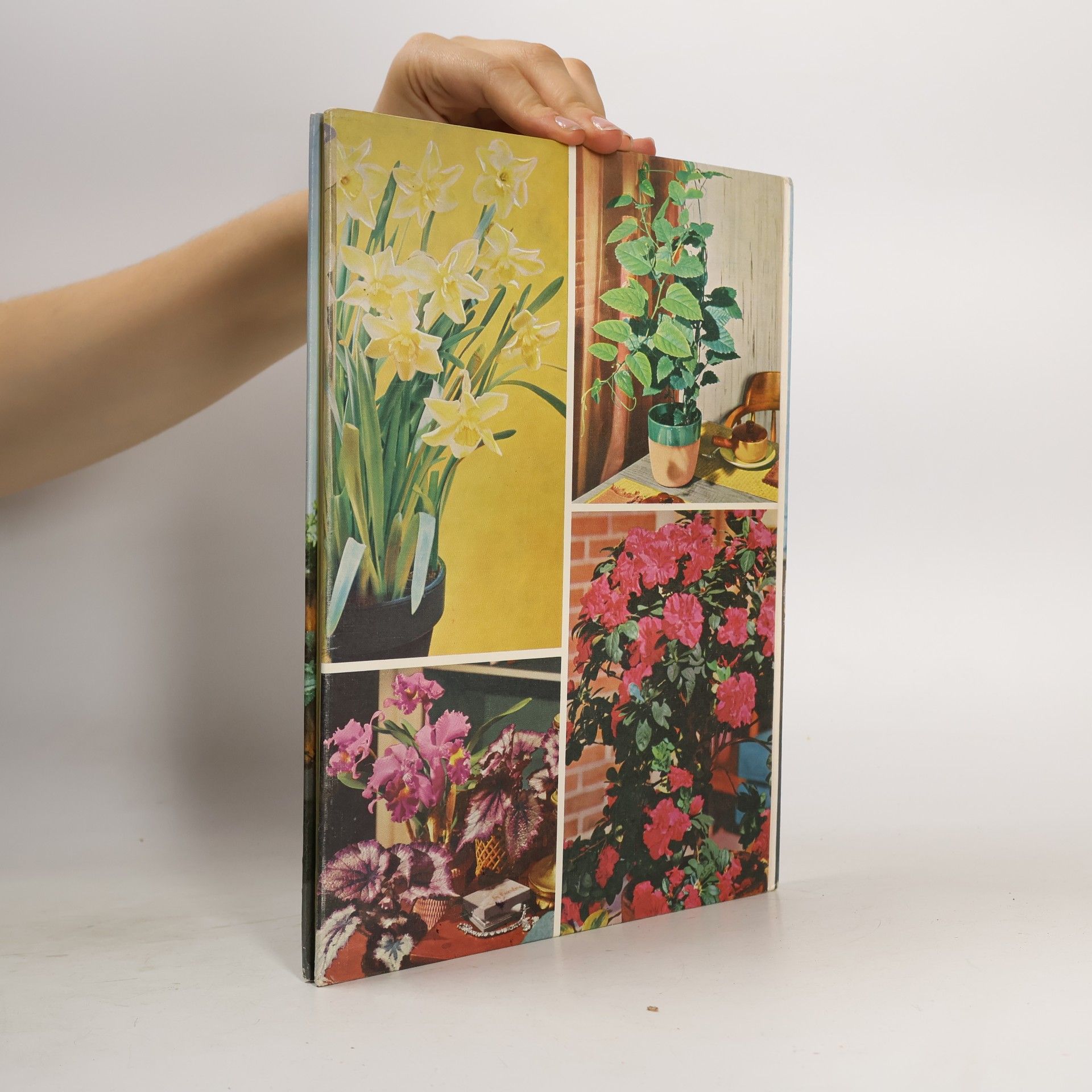 Autores varios House Plants