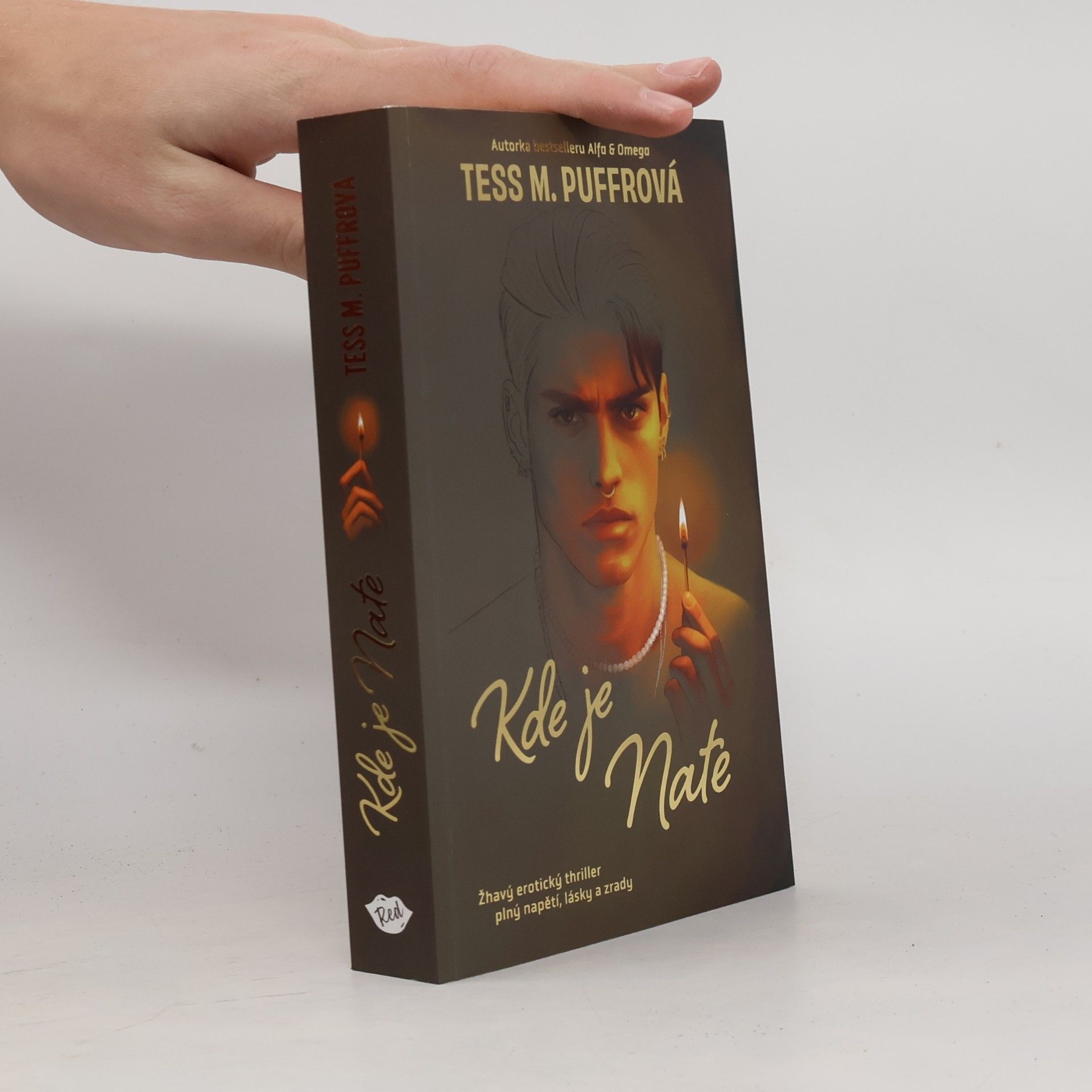 Tess M. Puffrová Kde je Nate