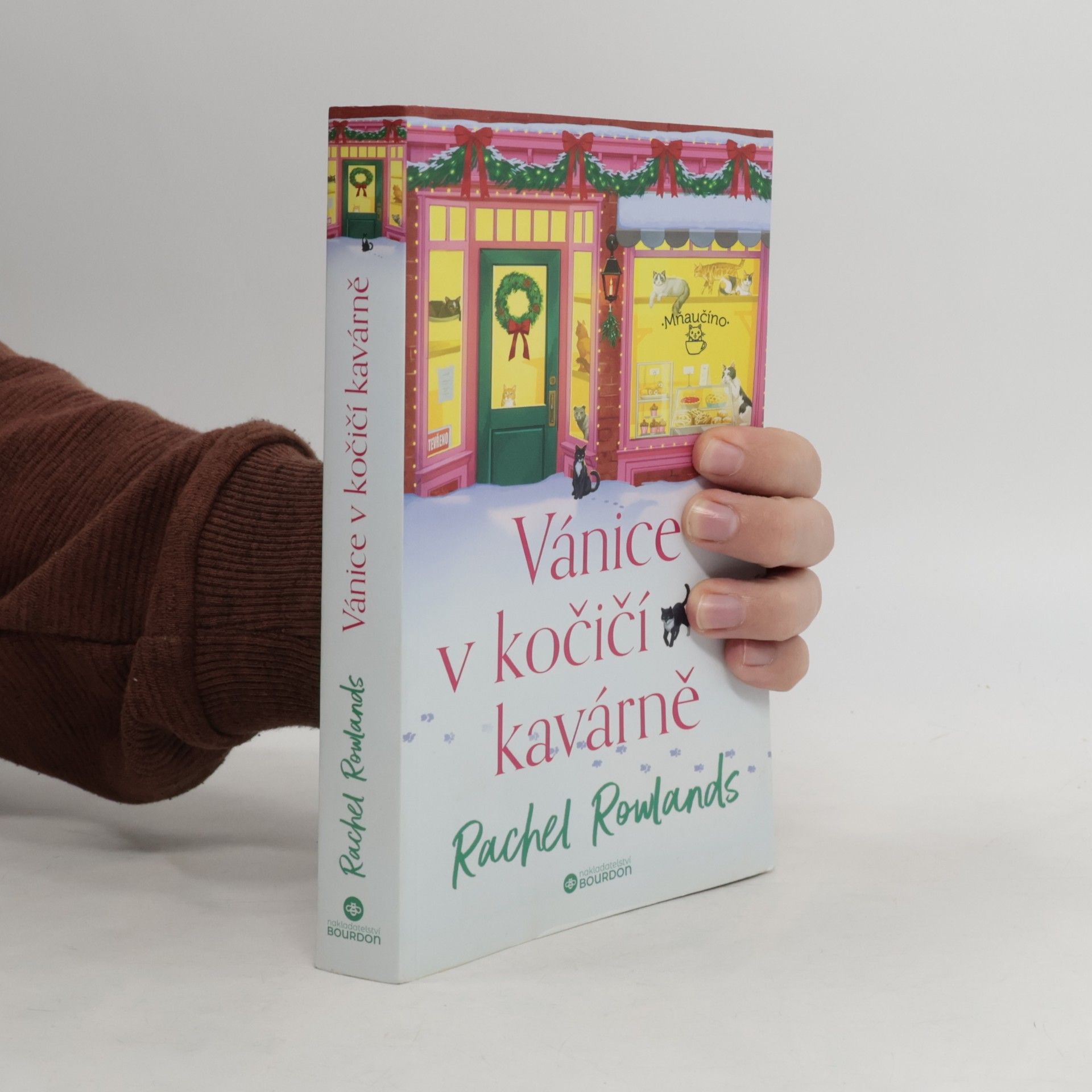 Vánice v kočičí kavárně