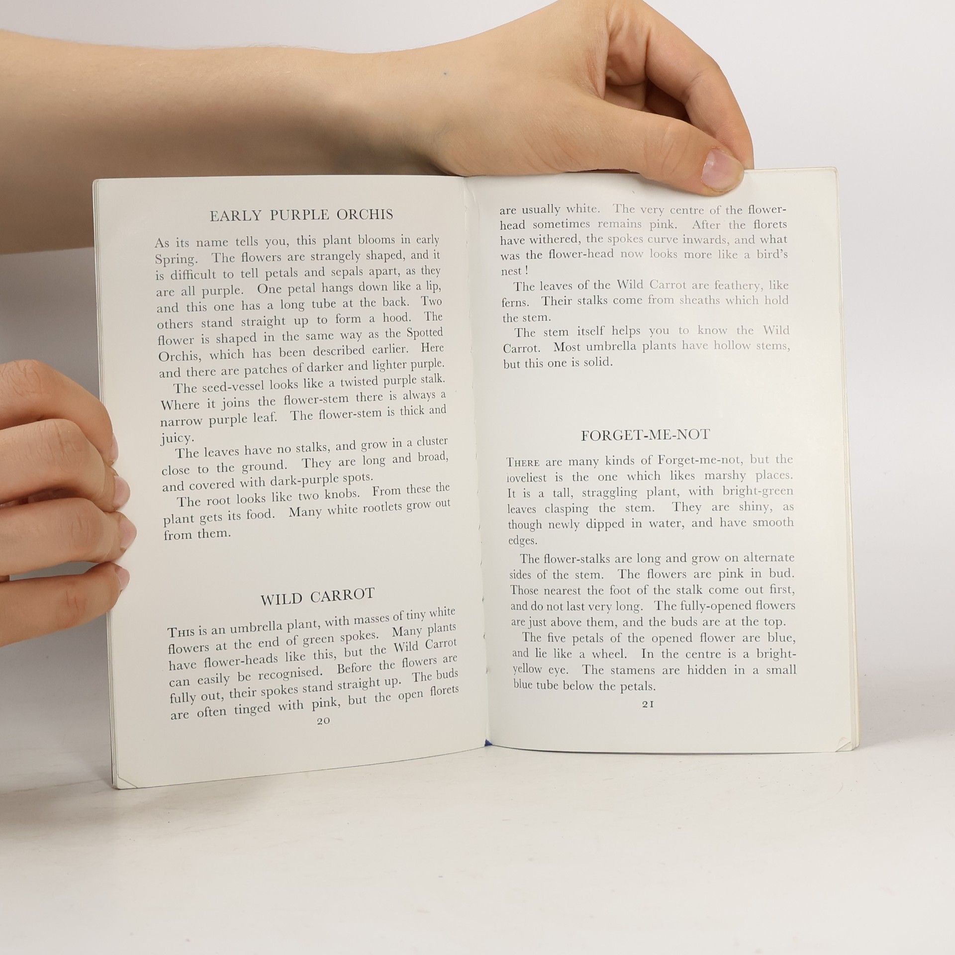 Nancy Miller Fourth Book of Wild Flowers