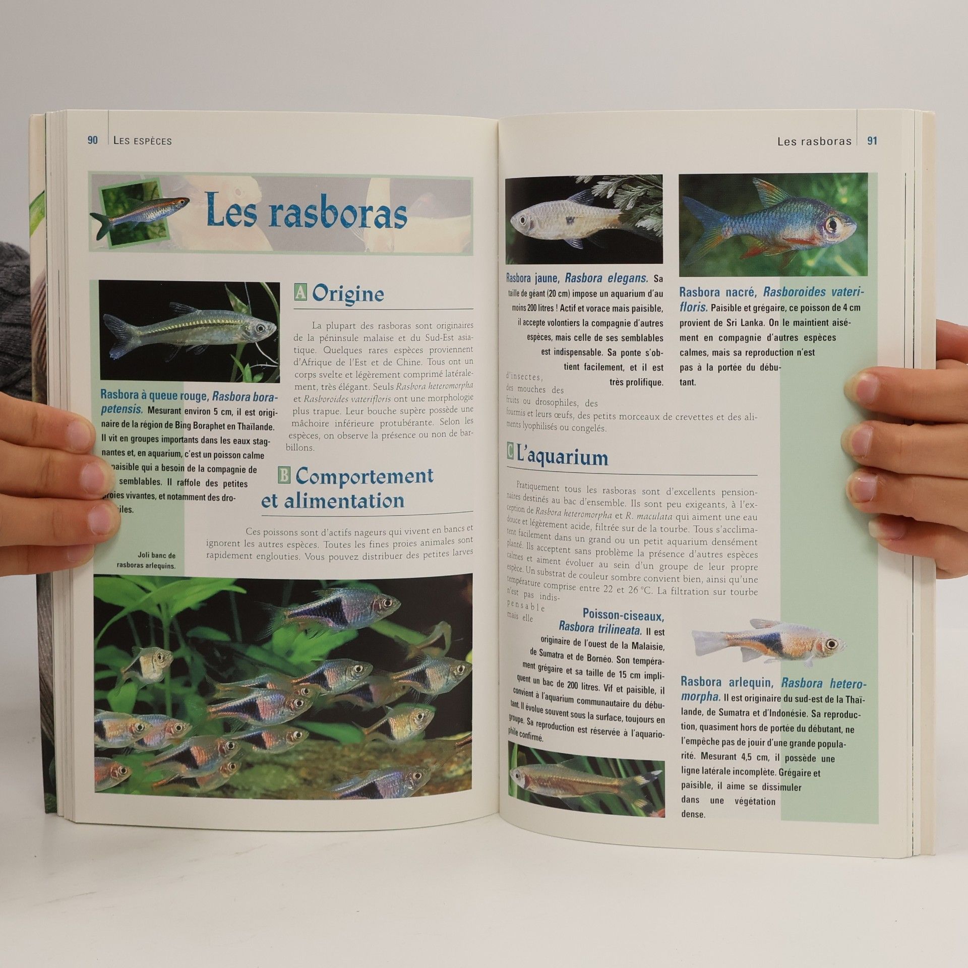 Alain Breitenstein Aquariums d'eau douce