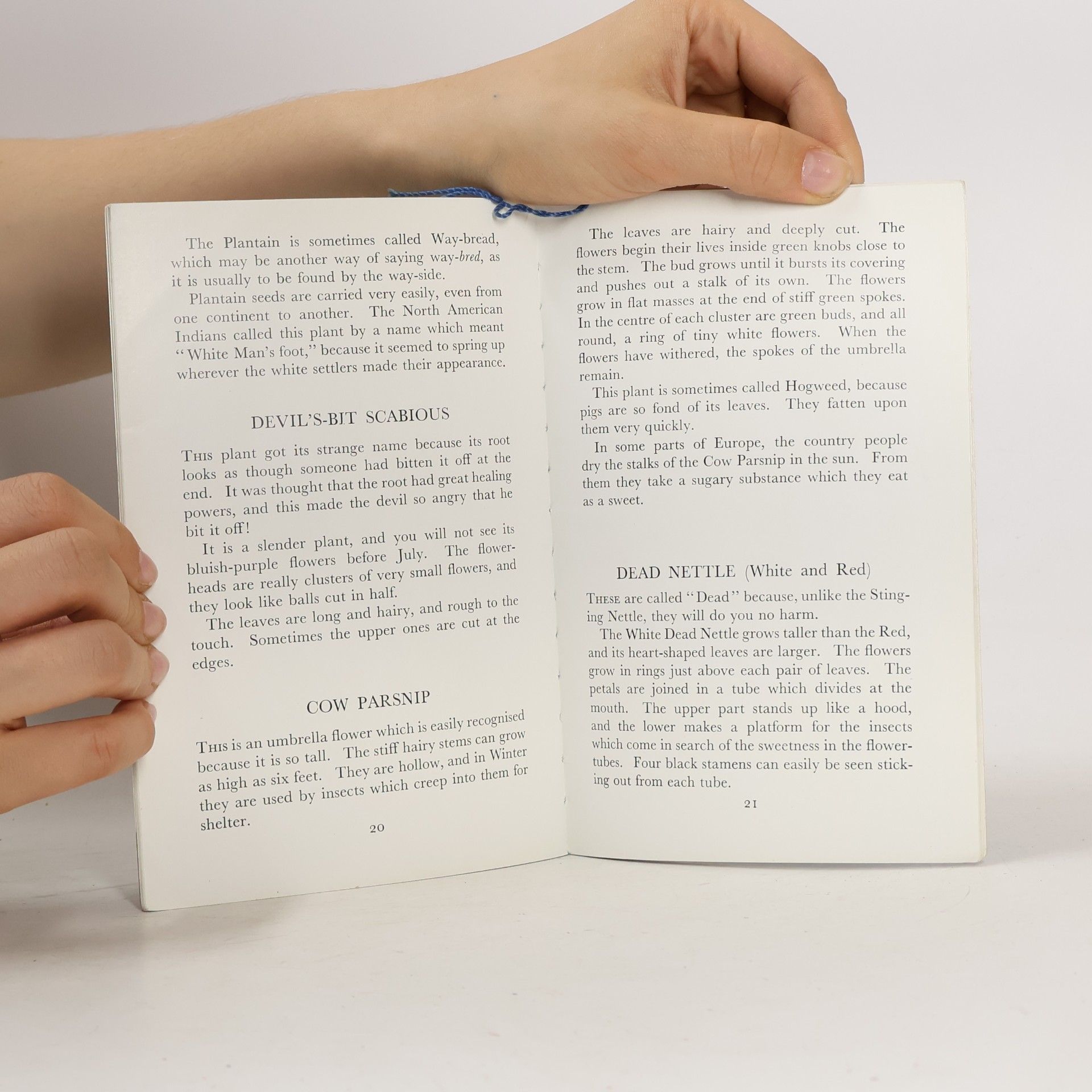 Nancy Miller Second Book of Wild Flowers