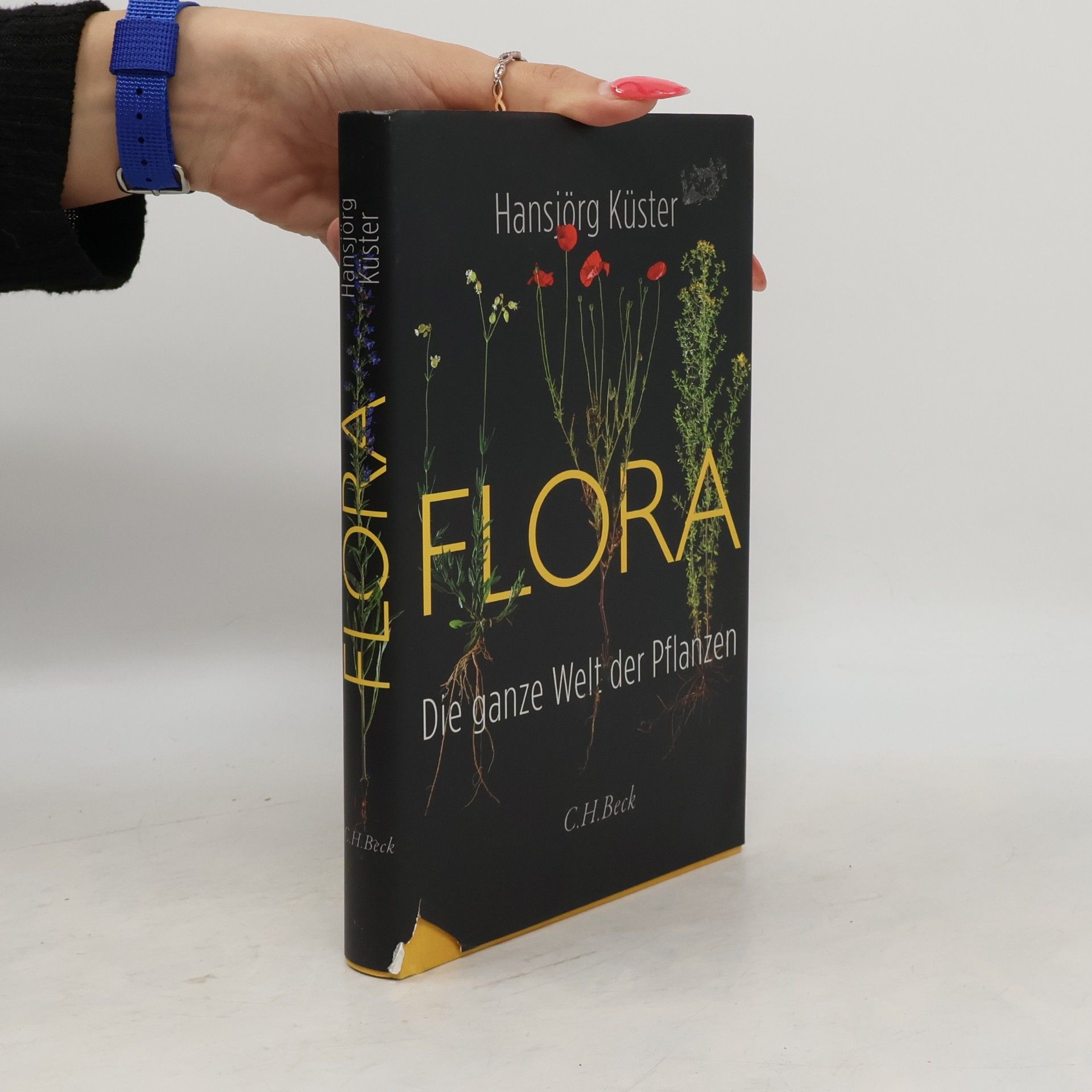 Flora