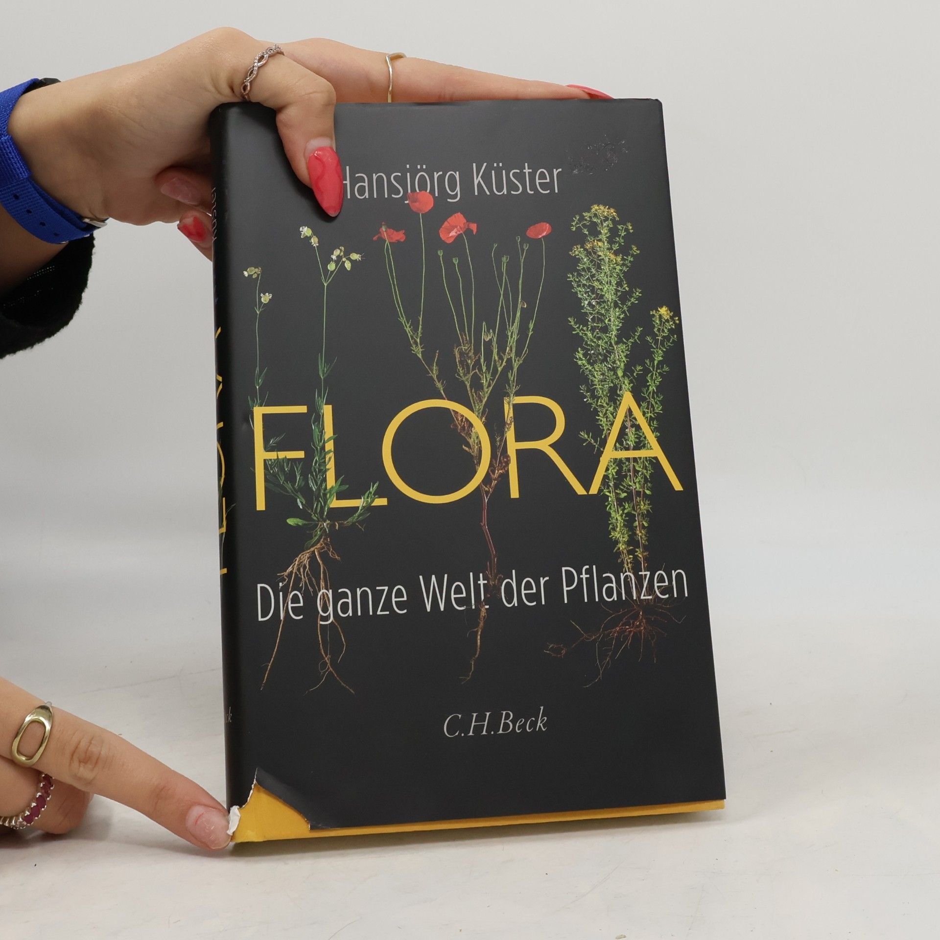 Hansjörg Küster Flora