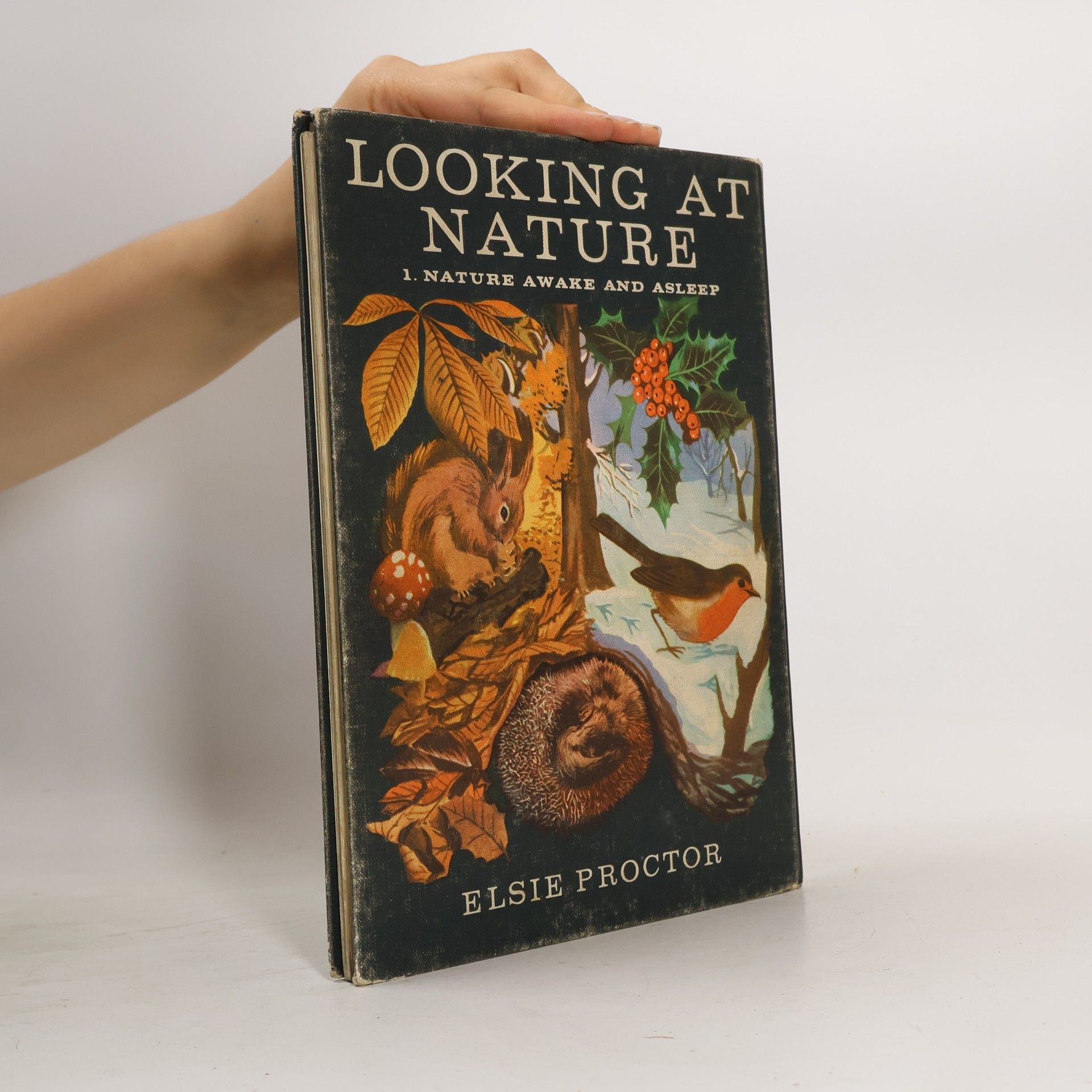 Elsie Proctor Looking at Nature. Book 1: Nature Awake and Asleep