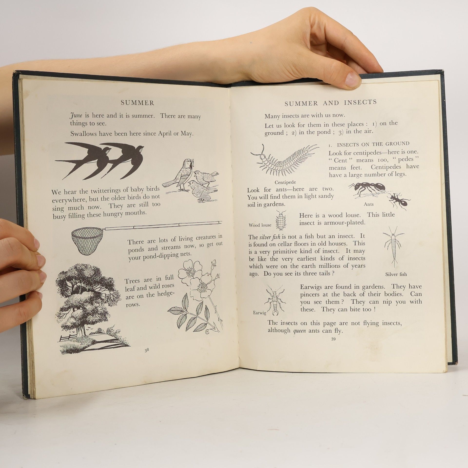 Elsie Proctor Looking at Nature. Book 1: Nature Awake and Asleep