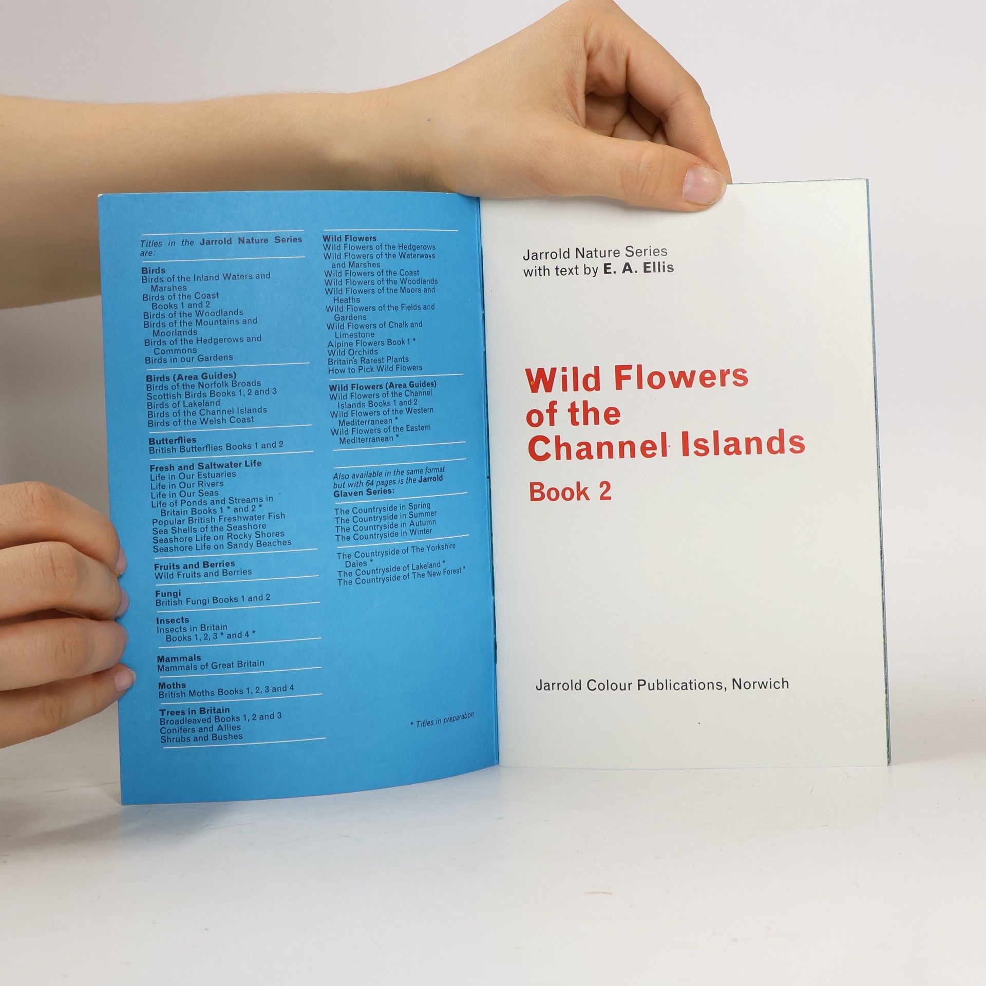 A. E. Ellis Wild Flowers of the Channel Islands 2