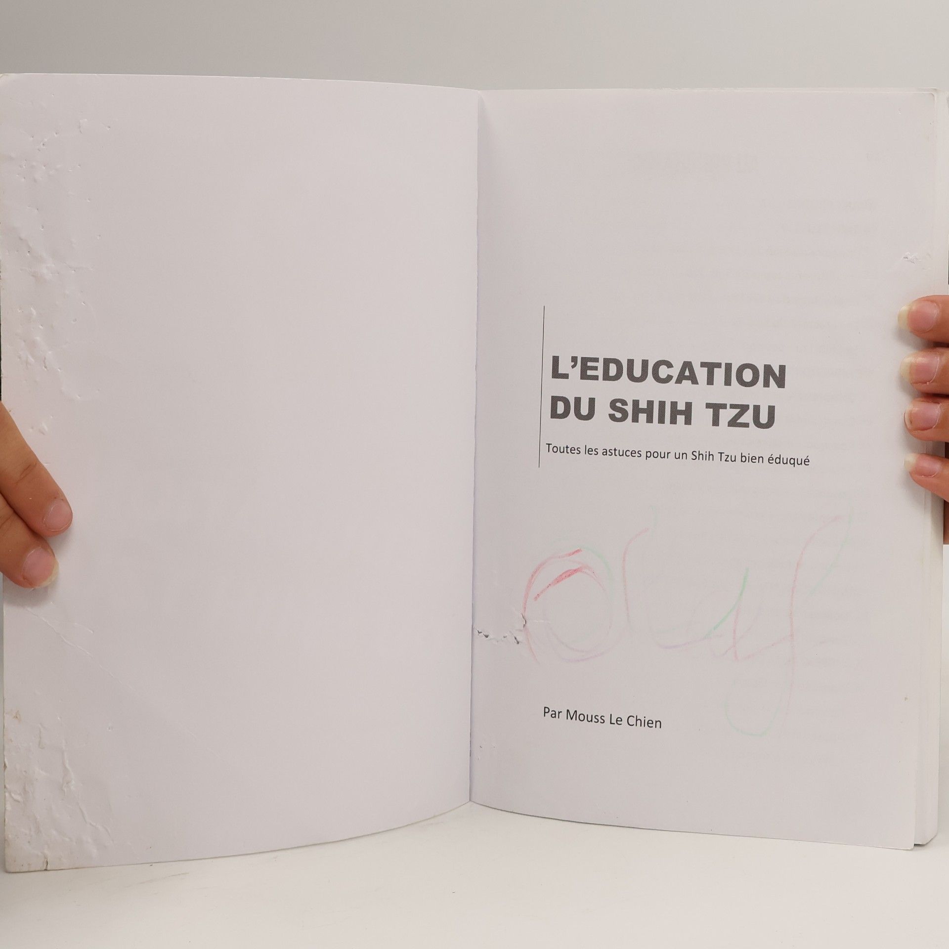 Mouss Le Chien L'éducation du Shih Tzu