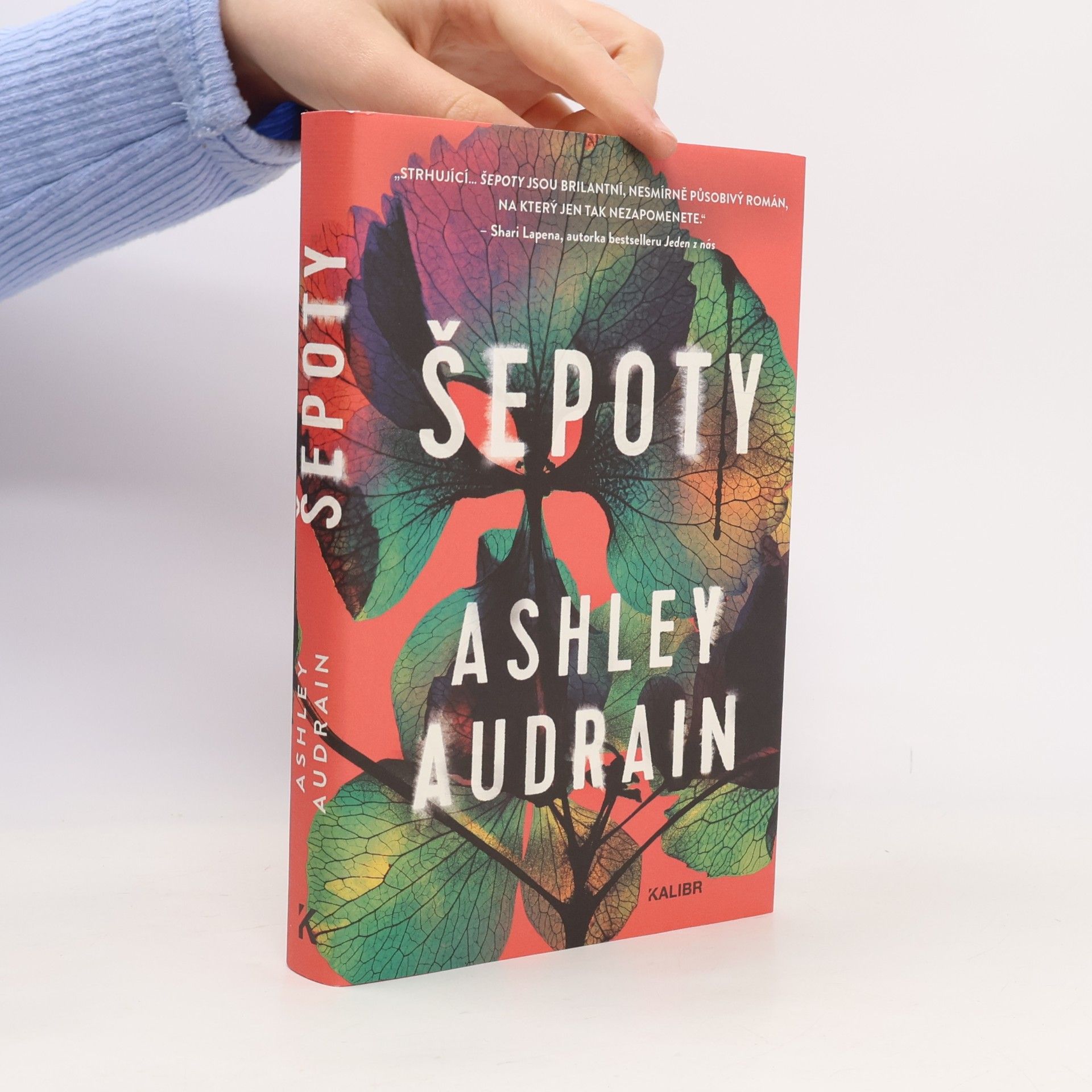 Šepoty