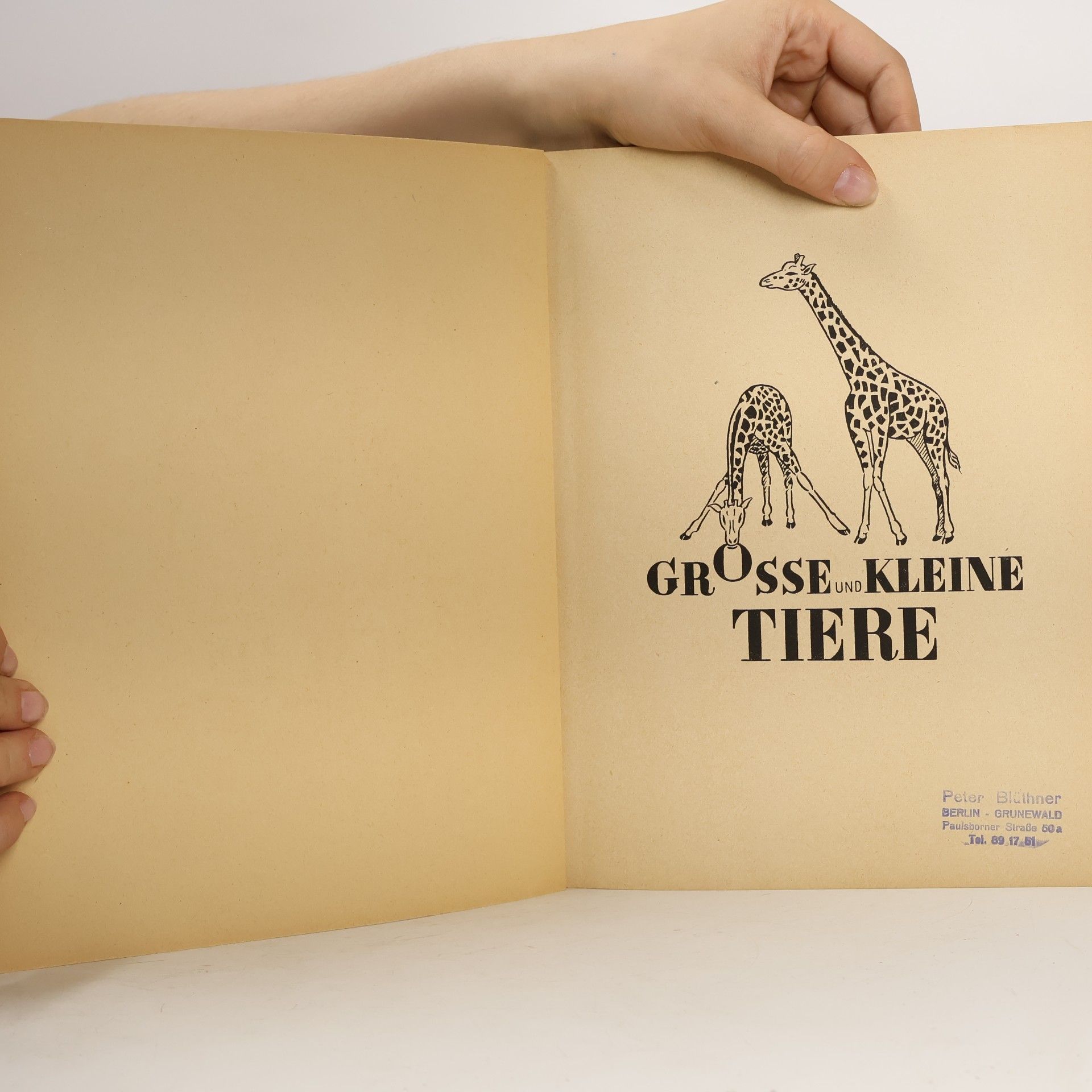 Peter Blüthner Grosse und kleine Tiere