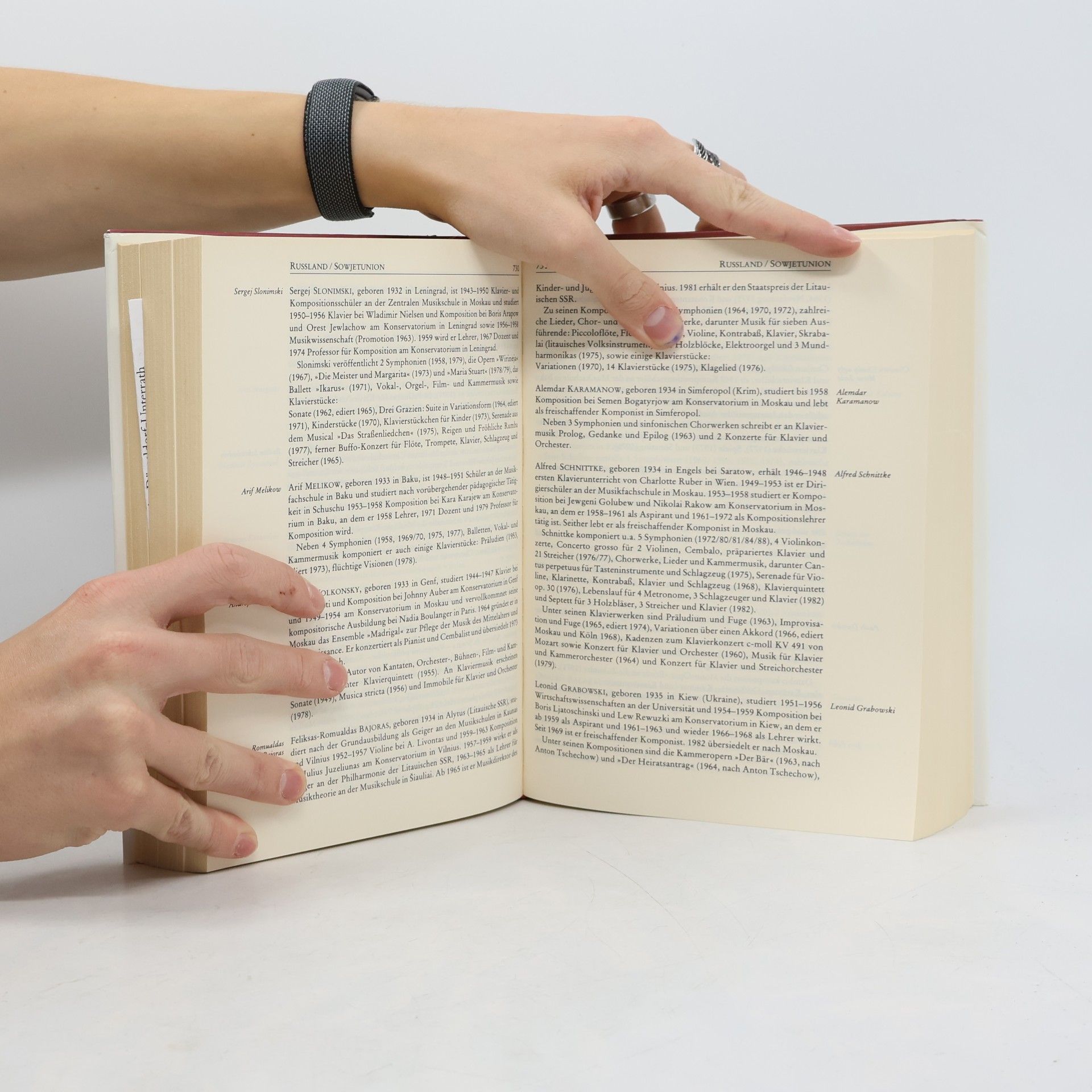 Peter Hollfelder Das grosse Handbuch der Klaviermusik