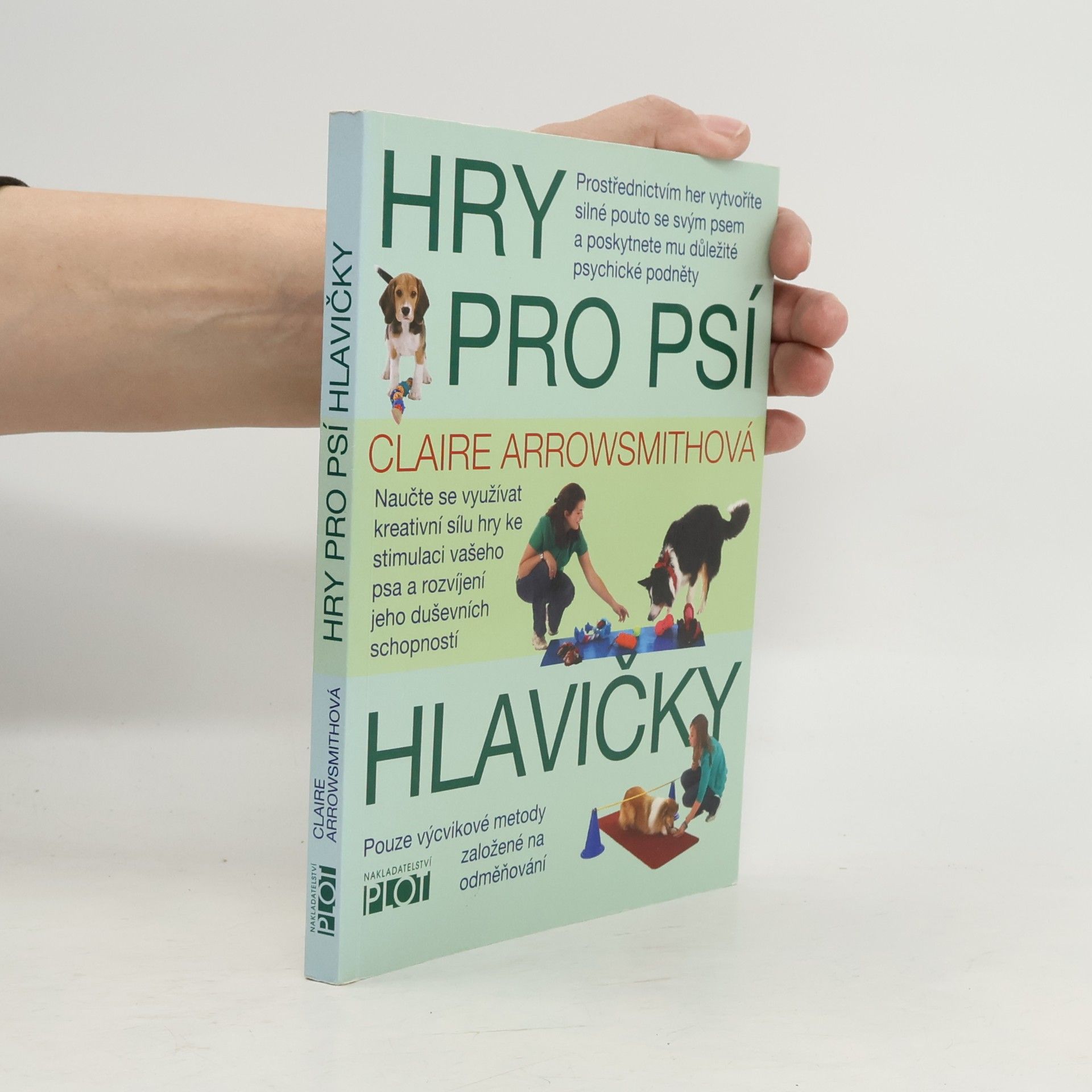 Hry pro psí hlavičky
