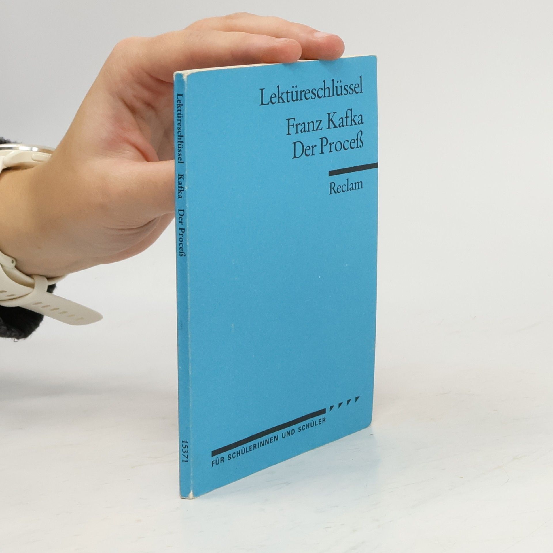 Wilhelm Große Franz Kafka, Der Proceß