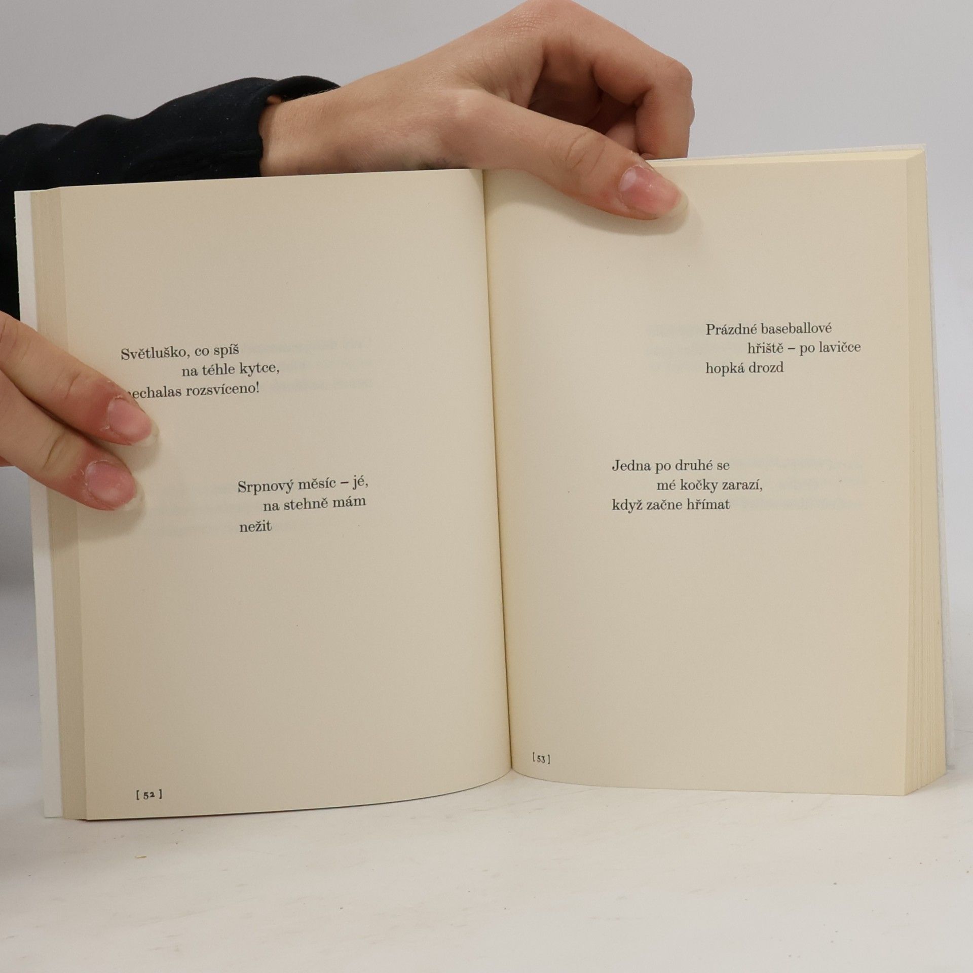 Jack Kerouac Kniha haiku