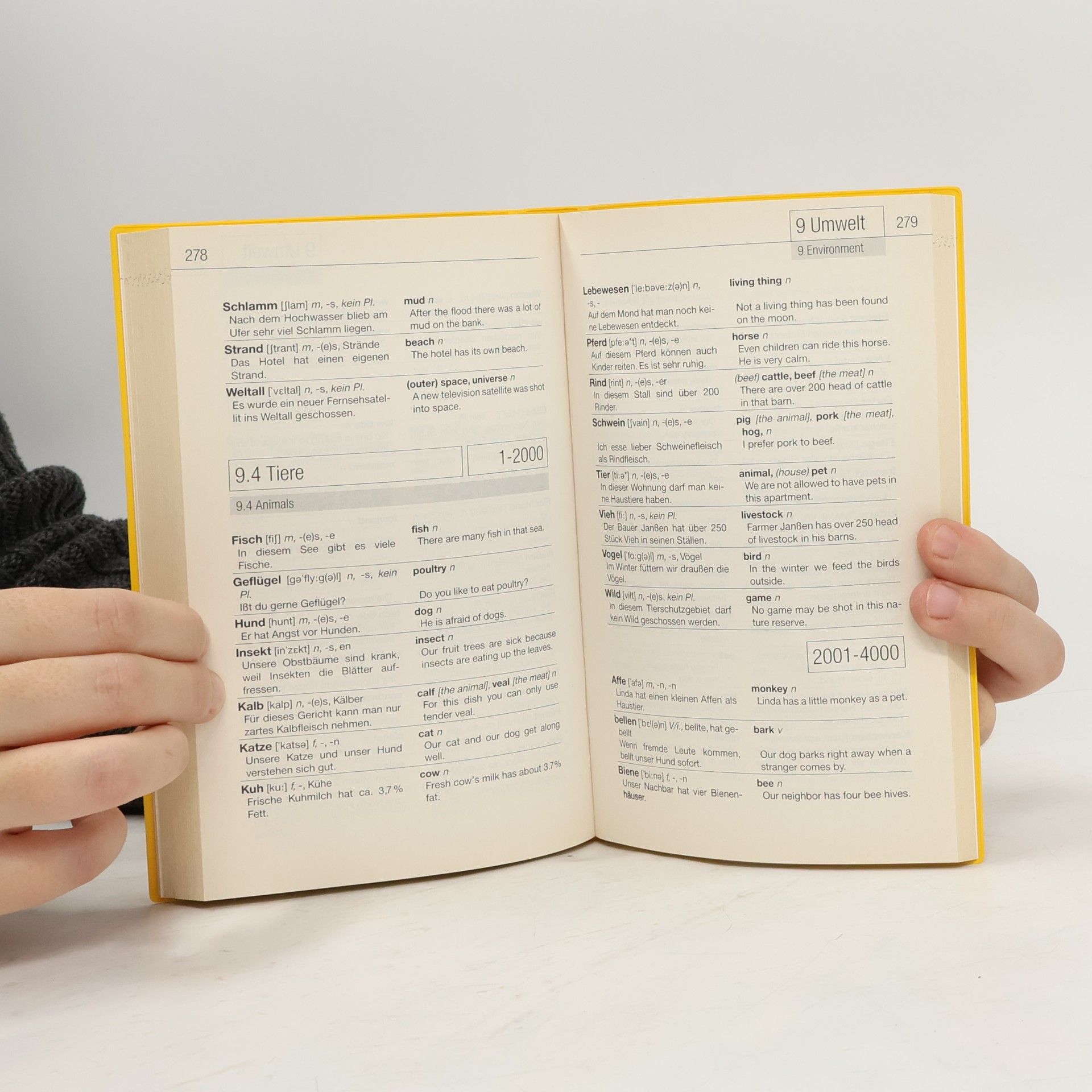 Kolektiv autorů Basic German vocabulary : a learner's dictionary divided into subject categories with example sentences