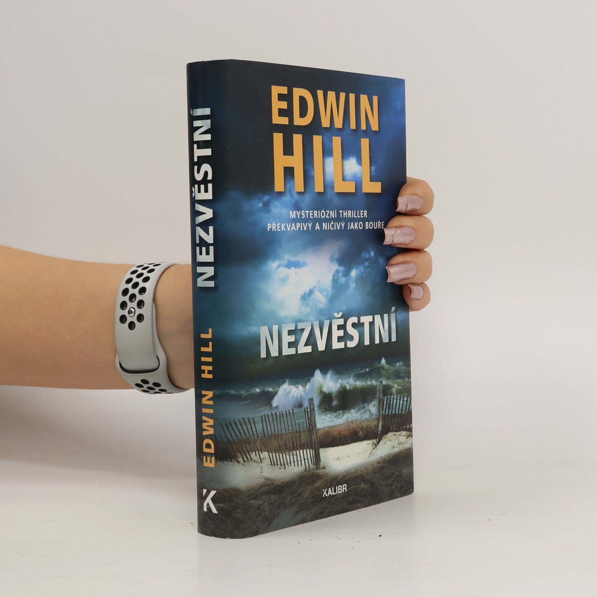 Nezvěstní