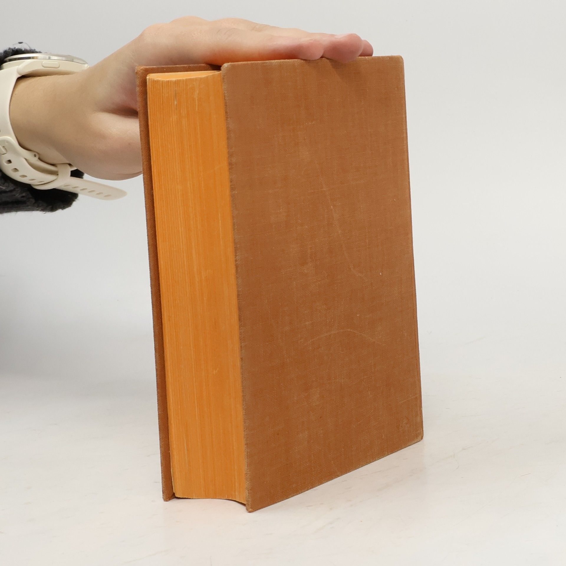 Martin Luther Die Heilige Schrift