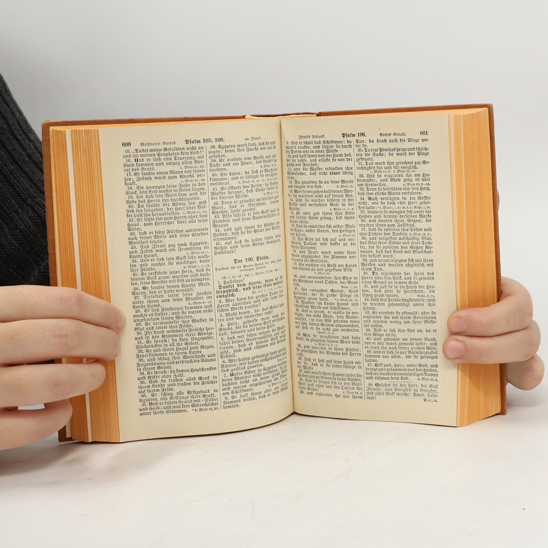Martin Luther Die Heilige Schrift