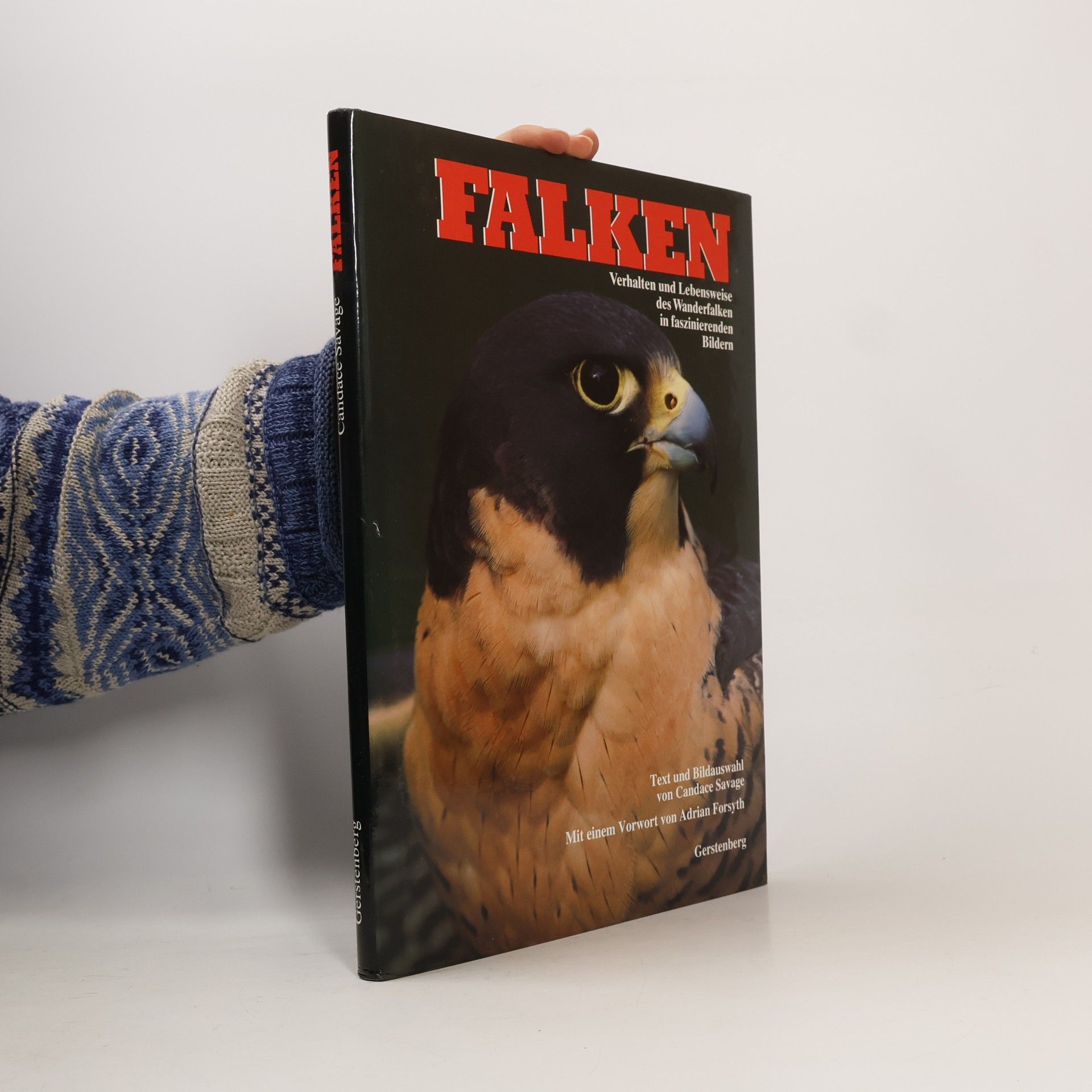 Falken