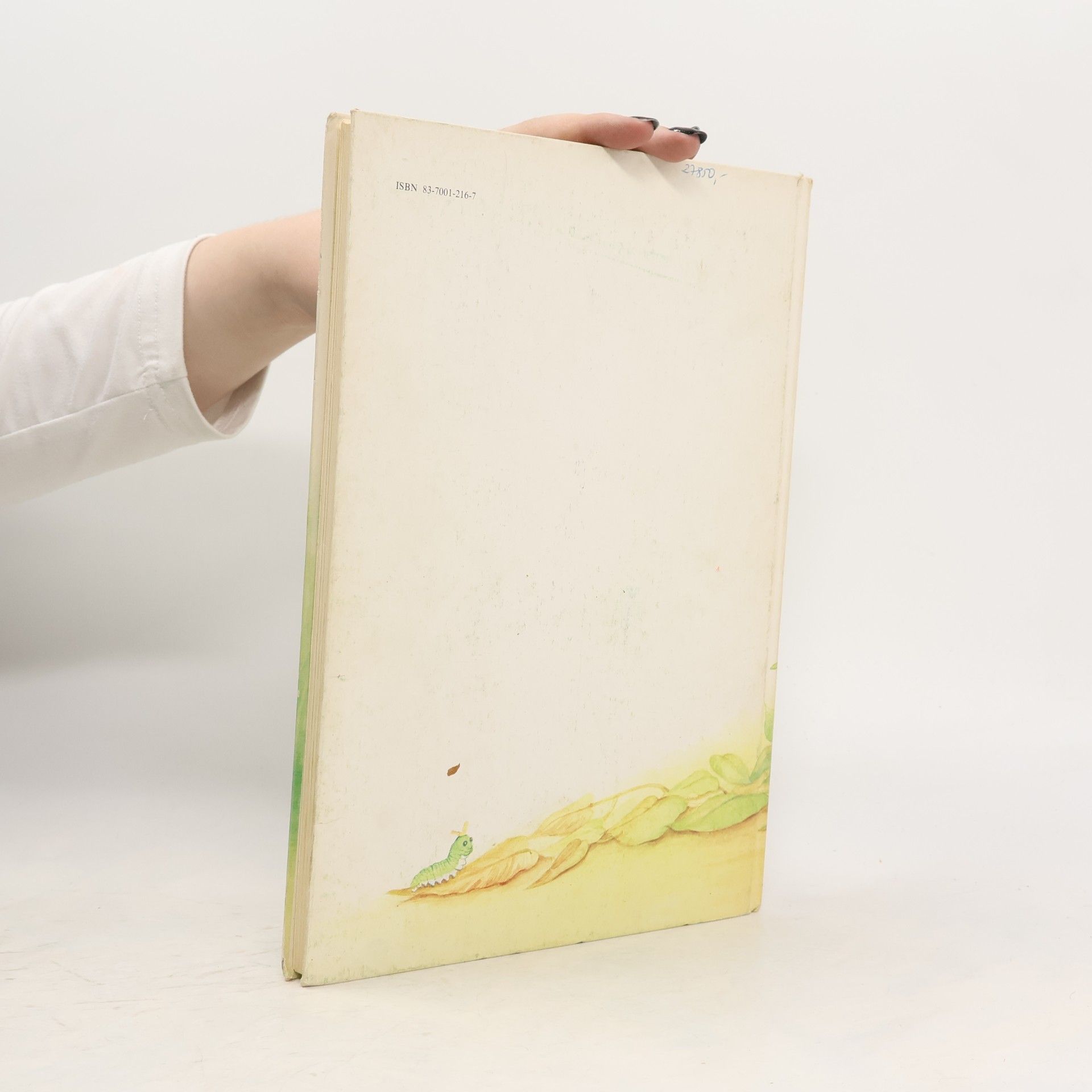 Beatrix Potter Bajki dla najmłodszych