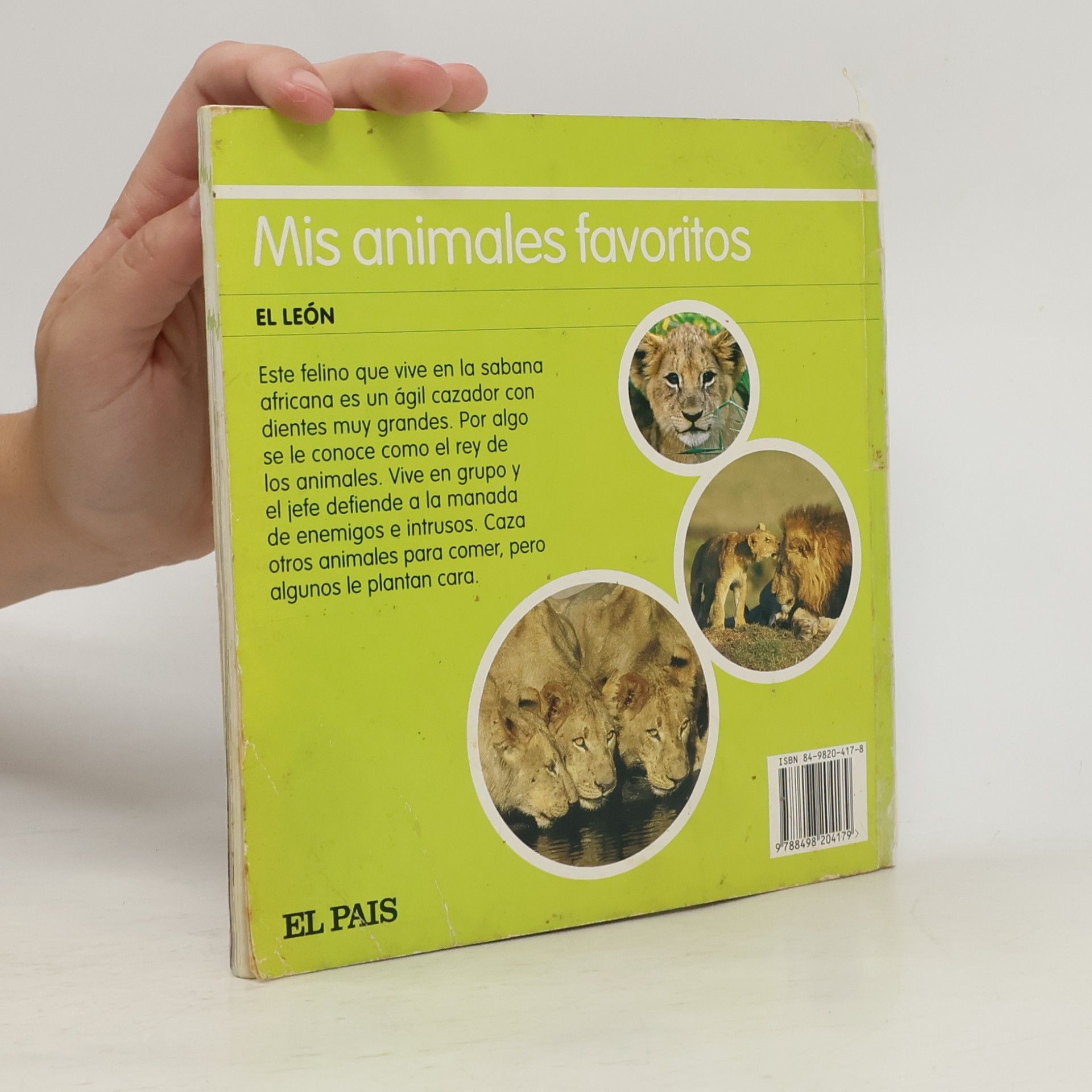Equipo Editorial Mis animales favoritos - 1: El león