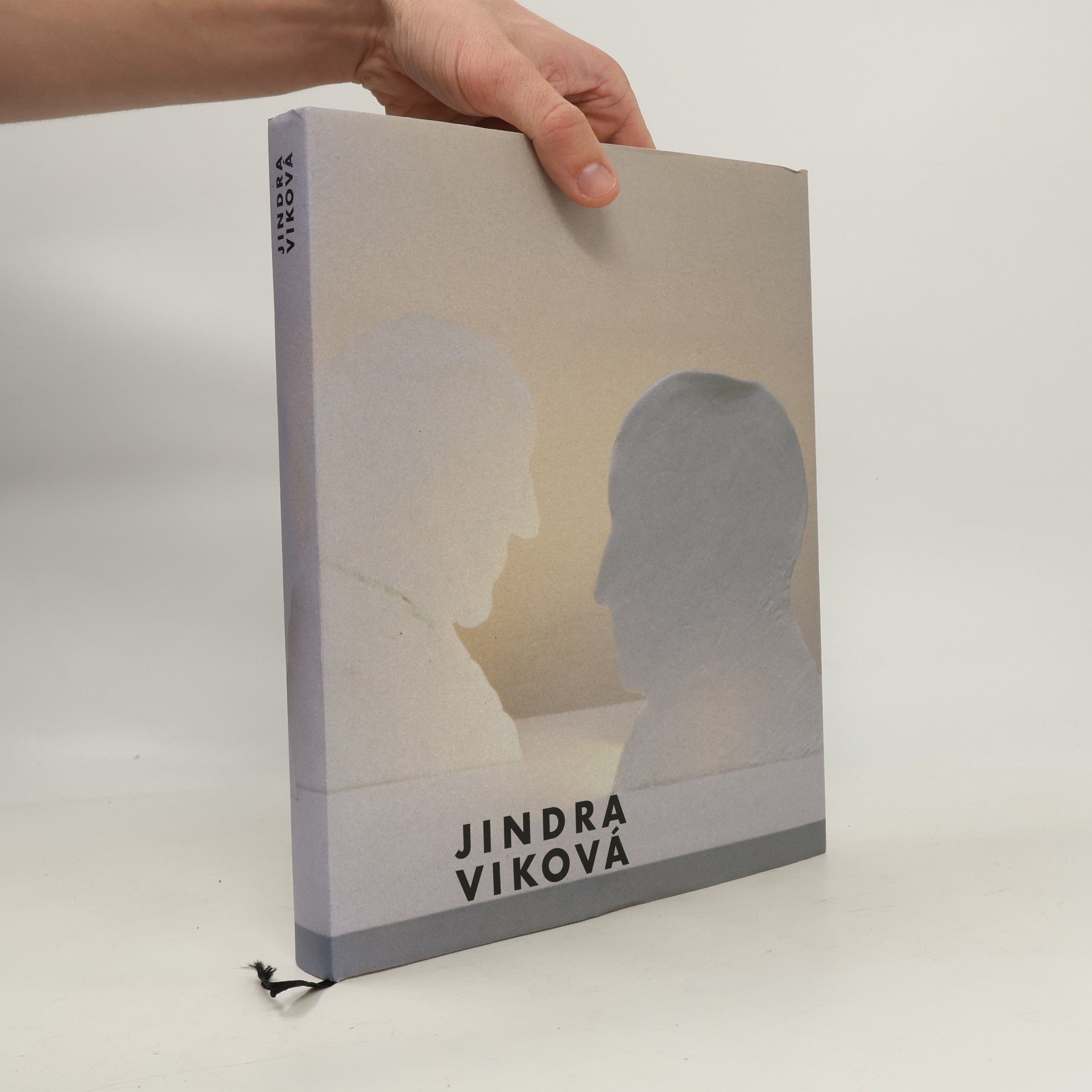 Kolektiv autorů Jindra Viková