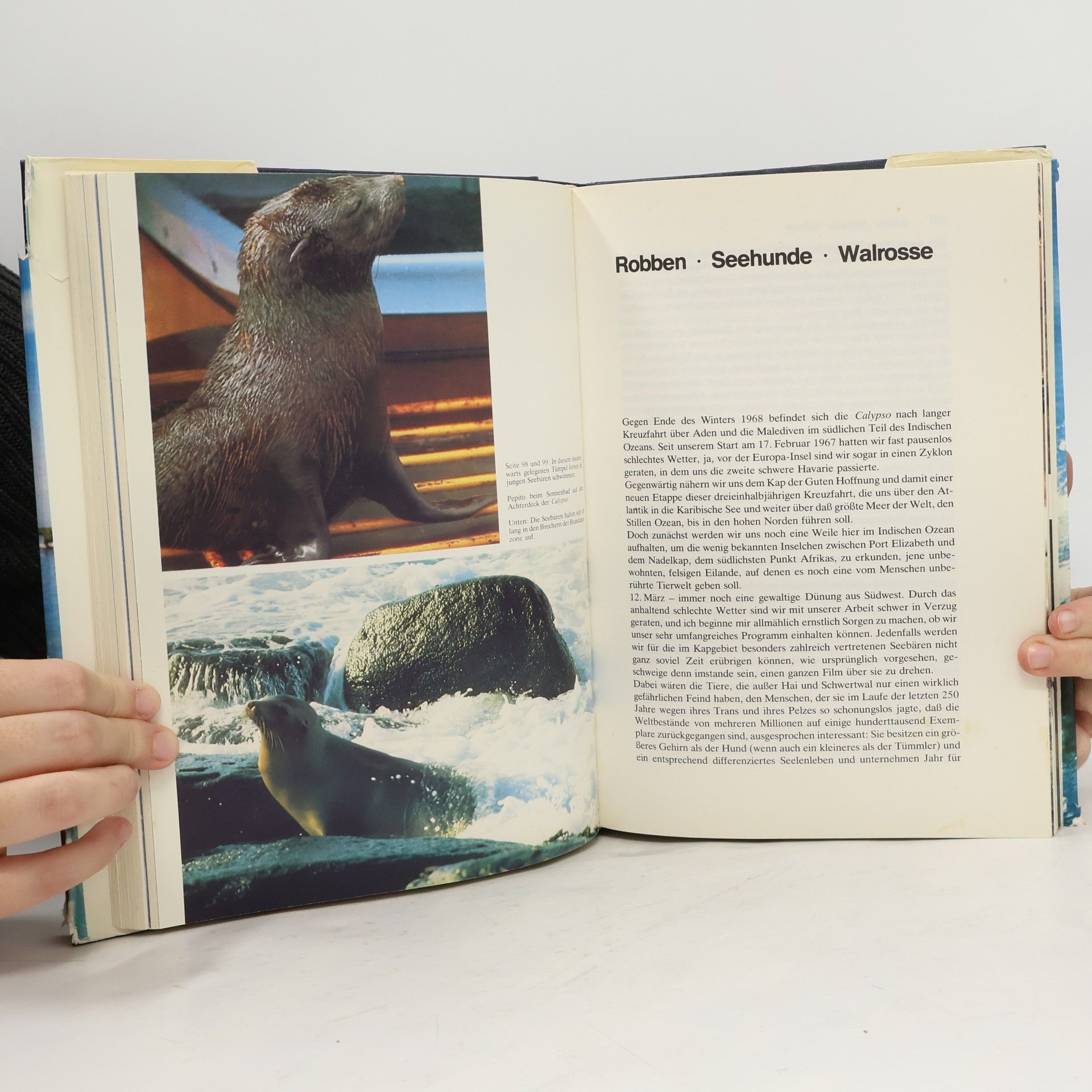 Cousteau Geheimnisse und Rätsel des Meeres