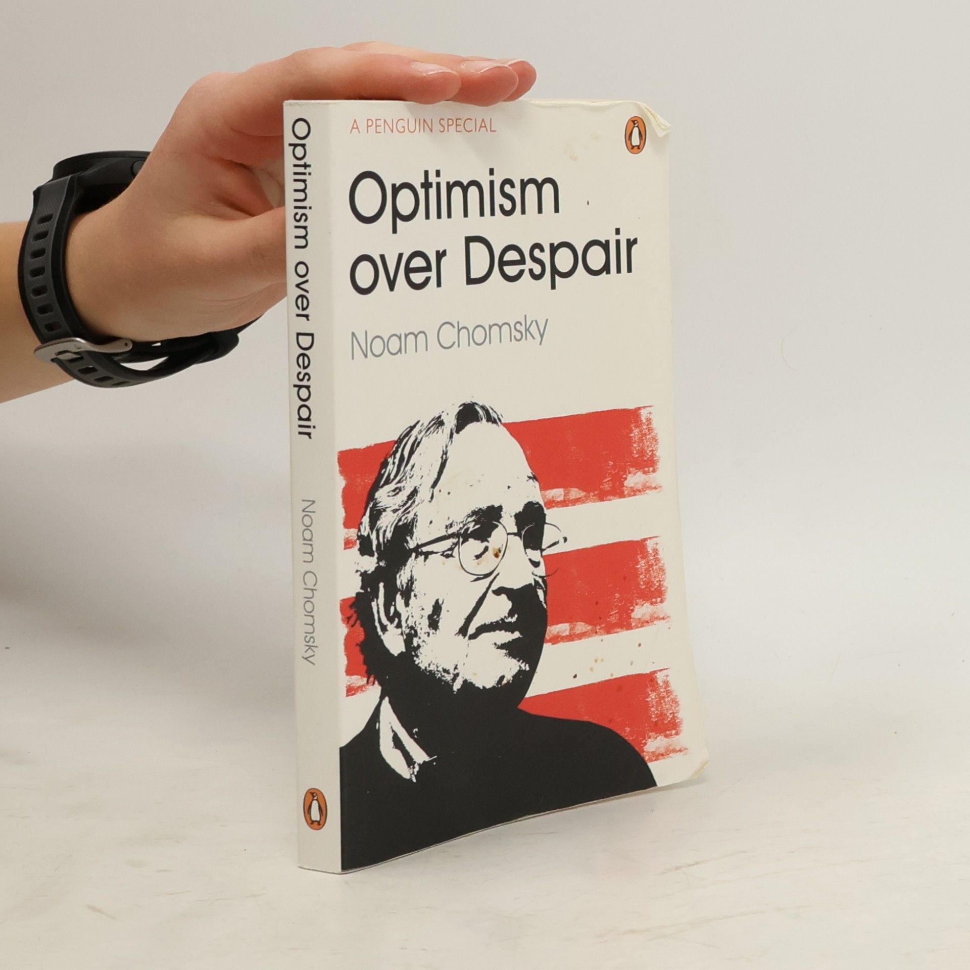 Noam Chomsky Optimism over despair