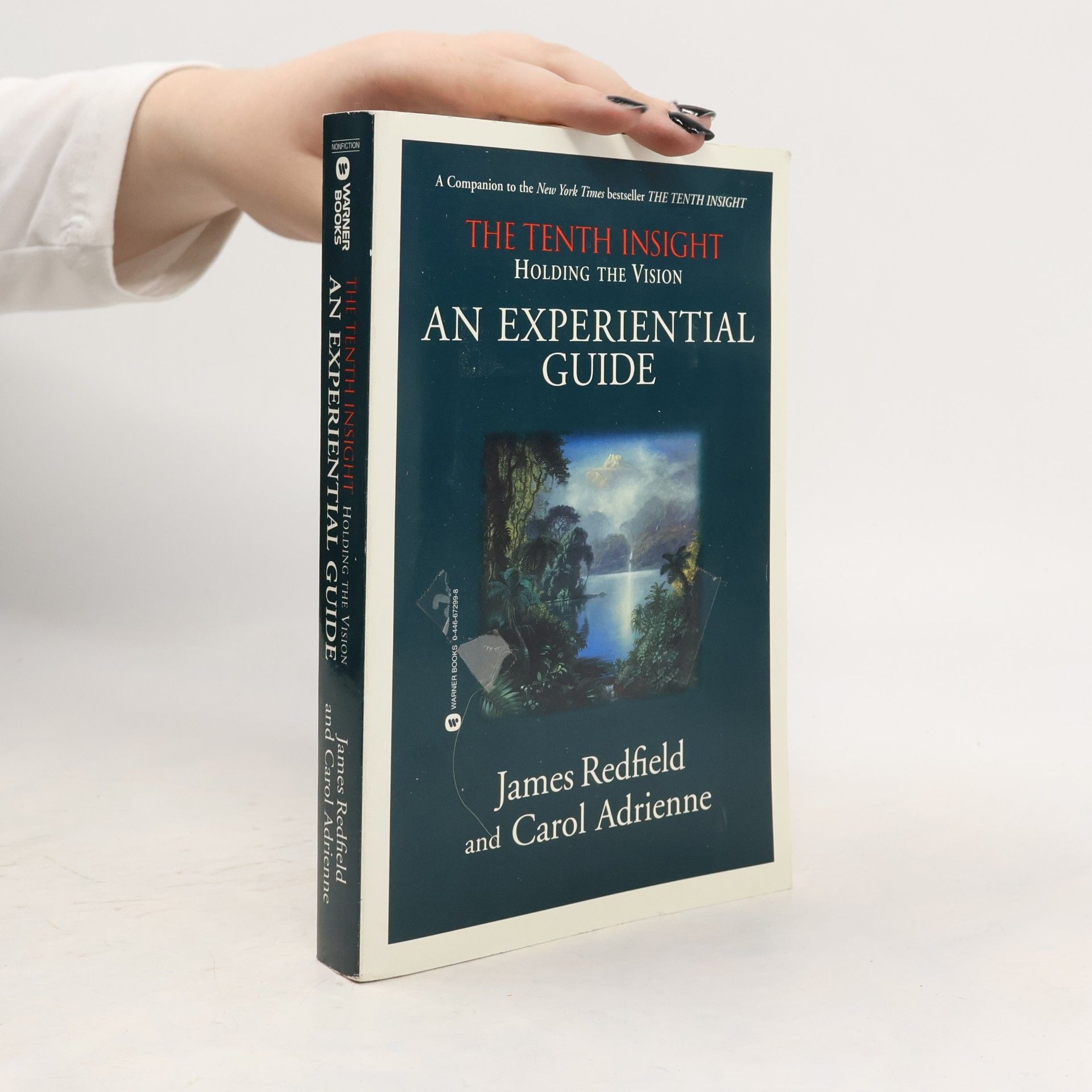 Holding the Vision. An Experiential Guide