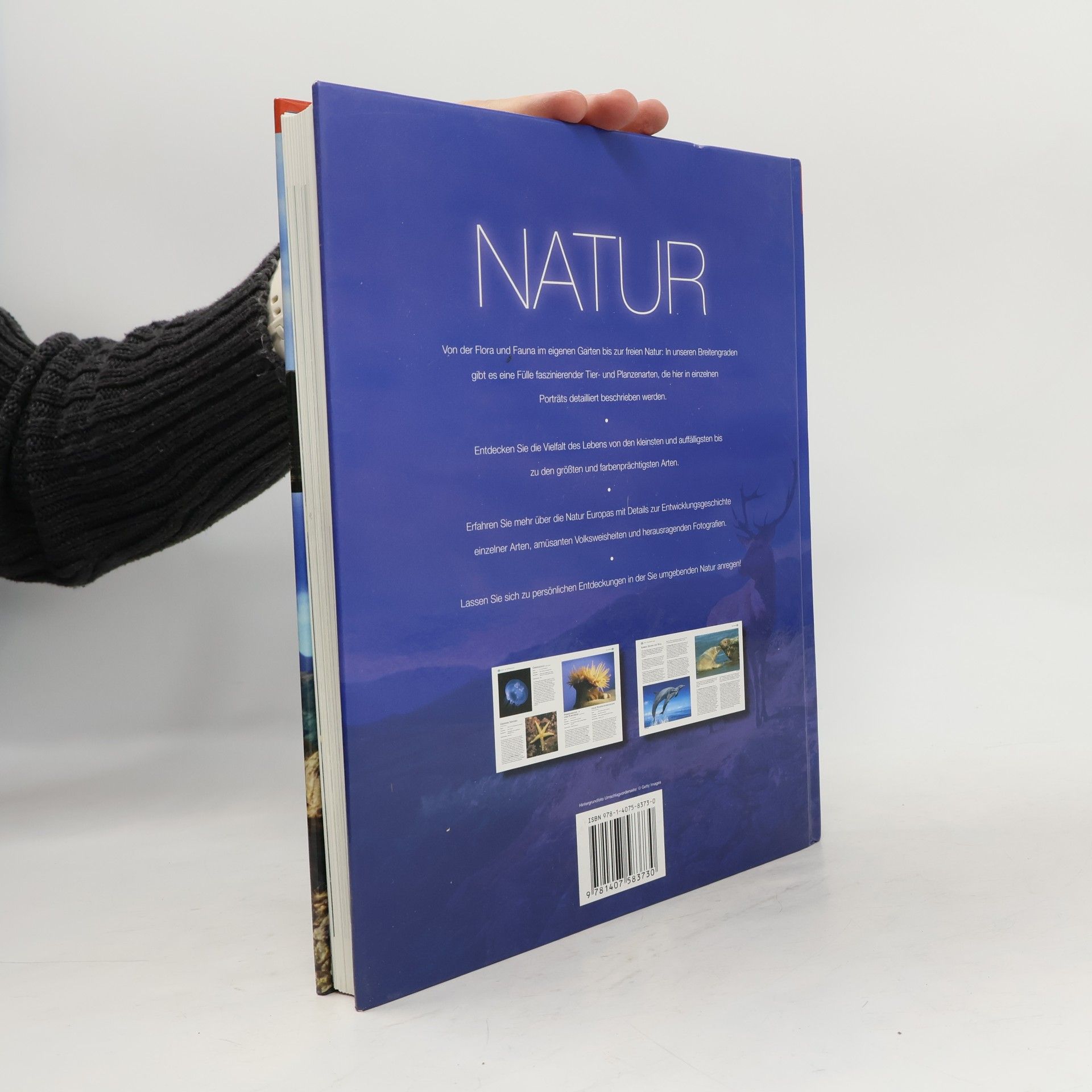 Autorenkollektiv Wunder unserer Welt: Natur: Tiere und Pflanzen Europas