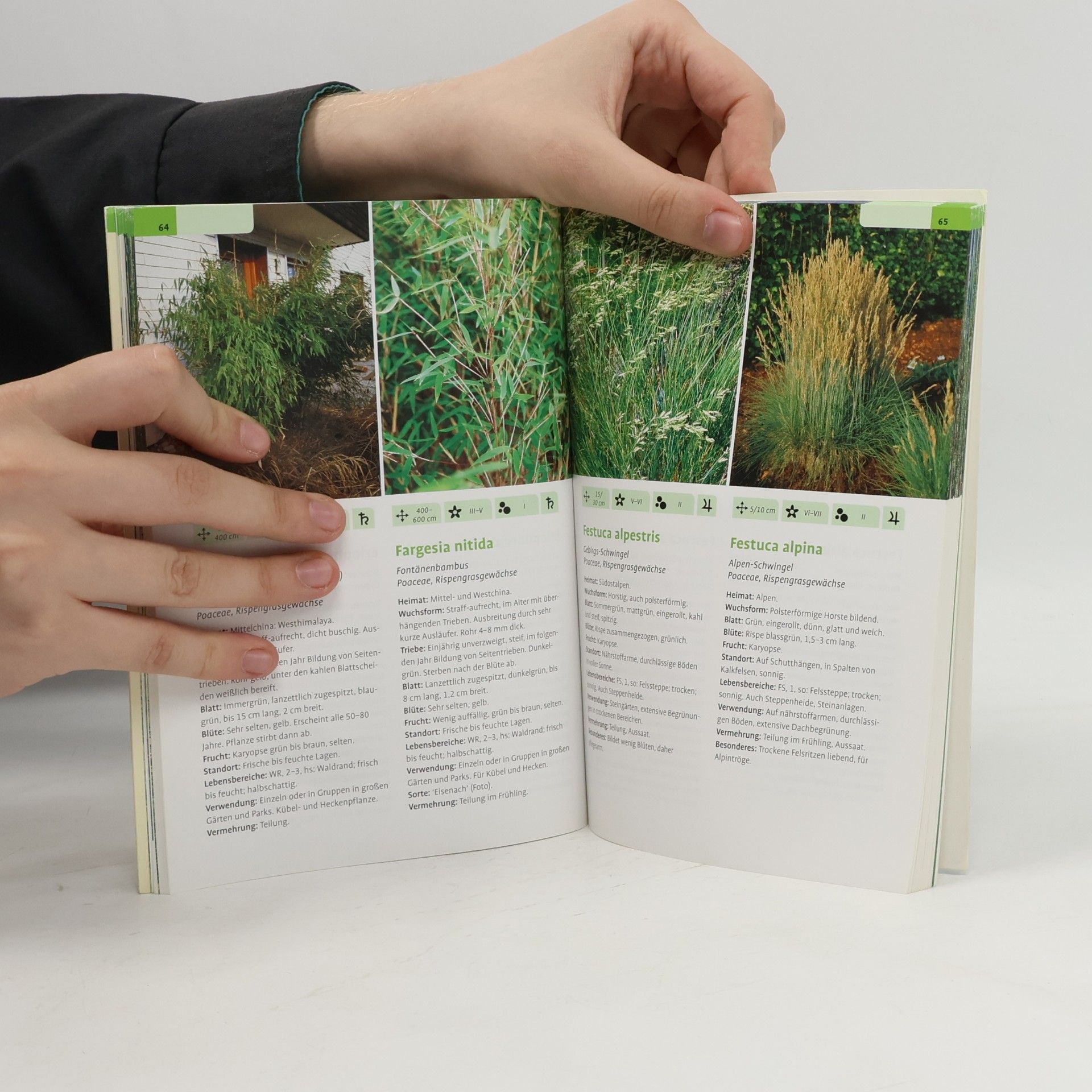 Martin Haberer Taschenatlas Ziergräser