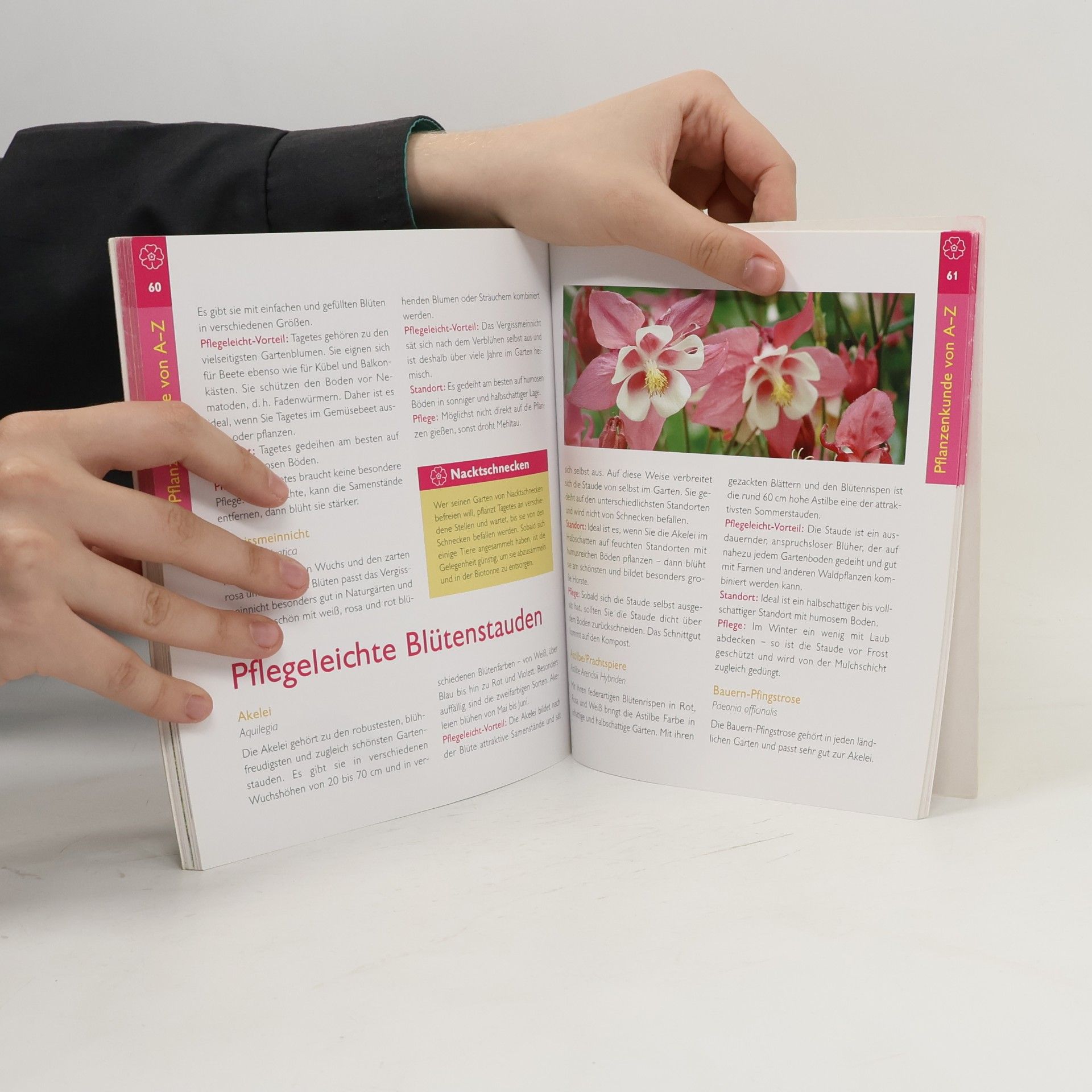 Birgit Kuhn Pflegeleichter Garten