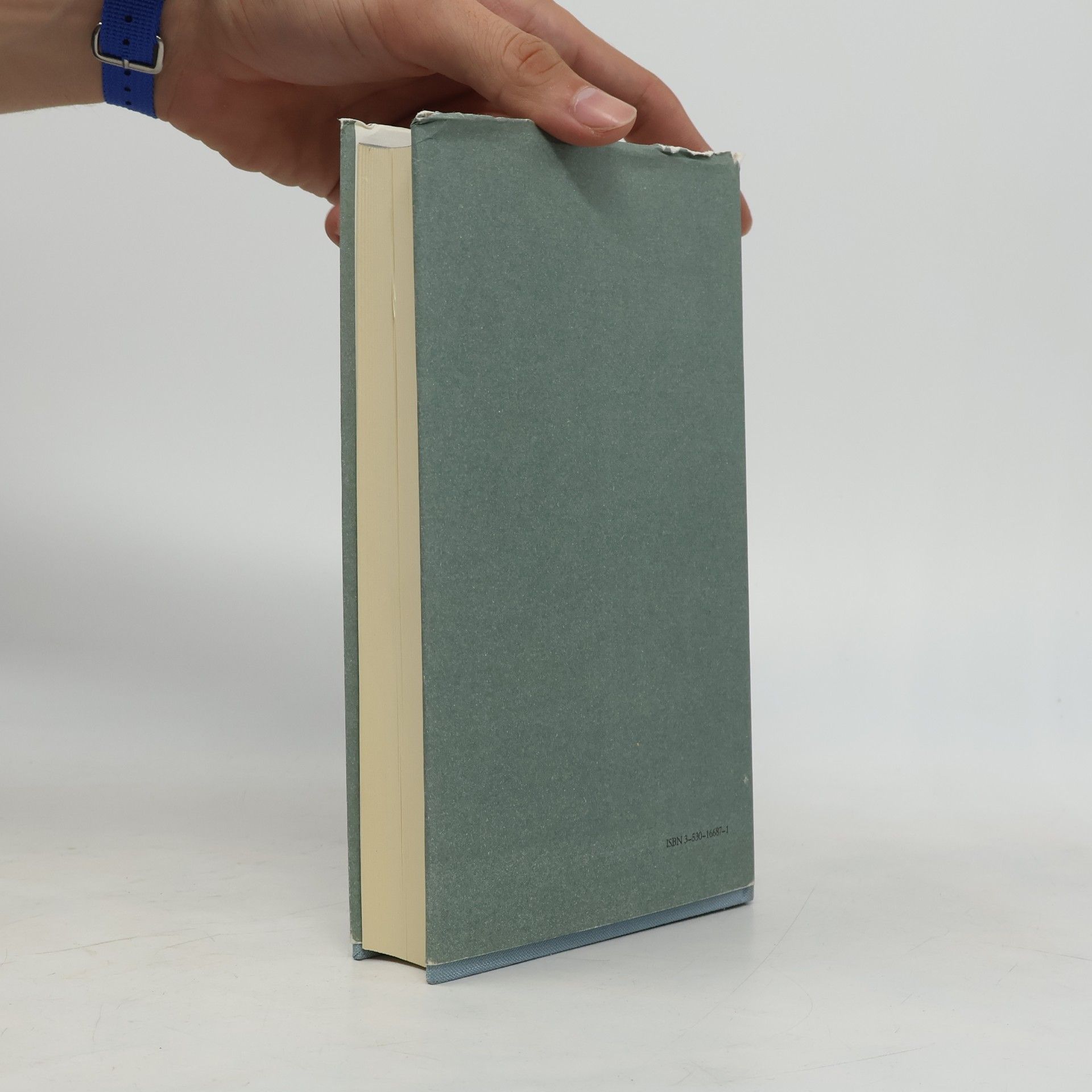 Alfred Döblin Kleine Schriften. Bd.1