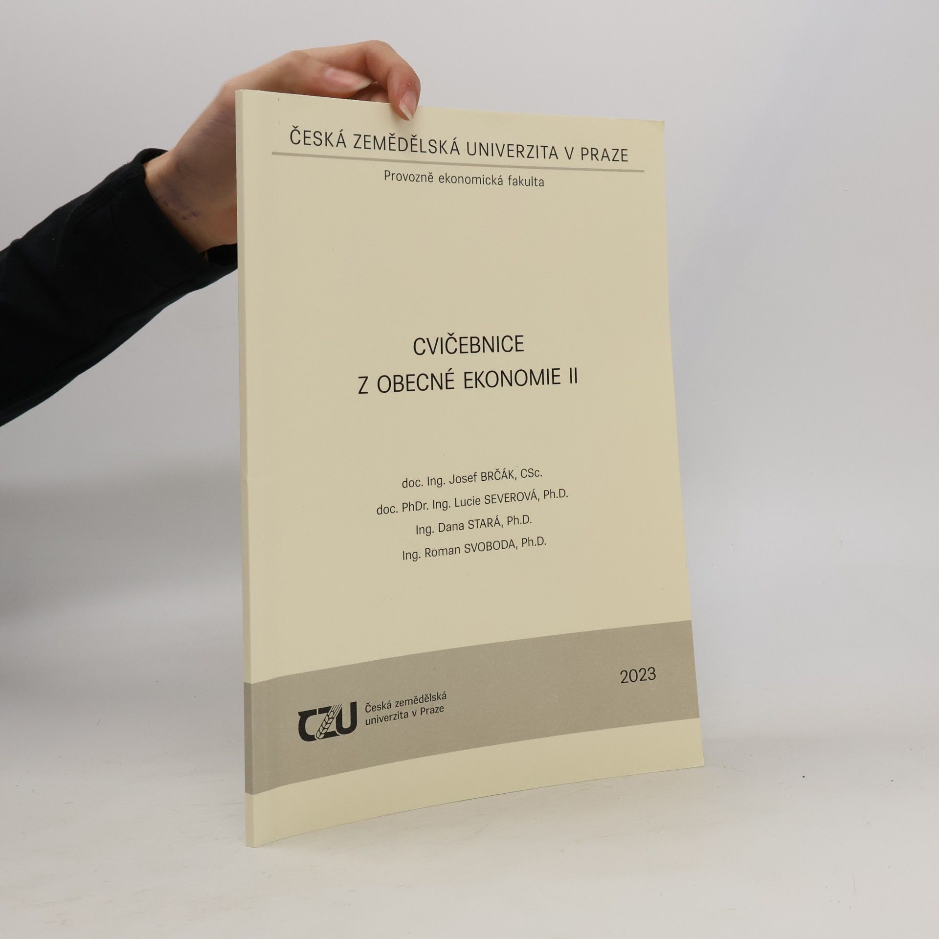 Kolektiv autorů Cvičebnice z obecné ekonomie II.