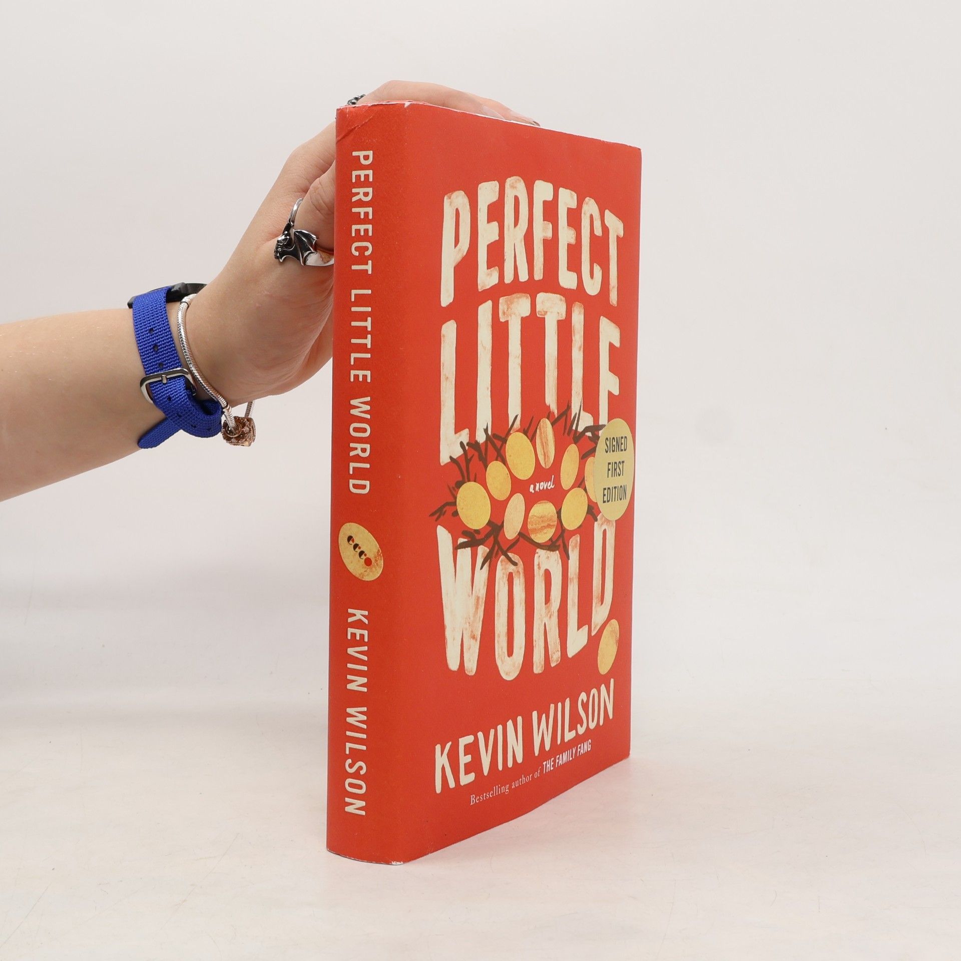 Perfect Little World