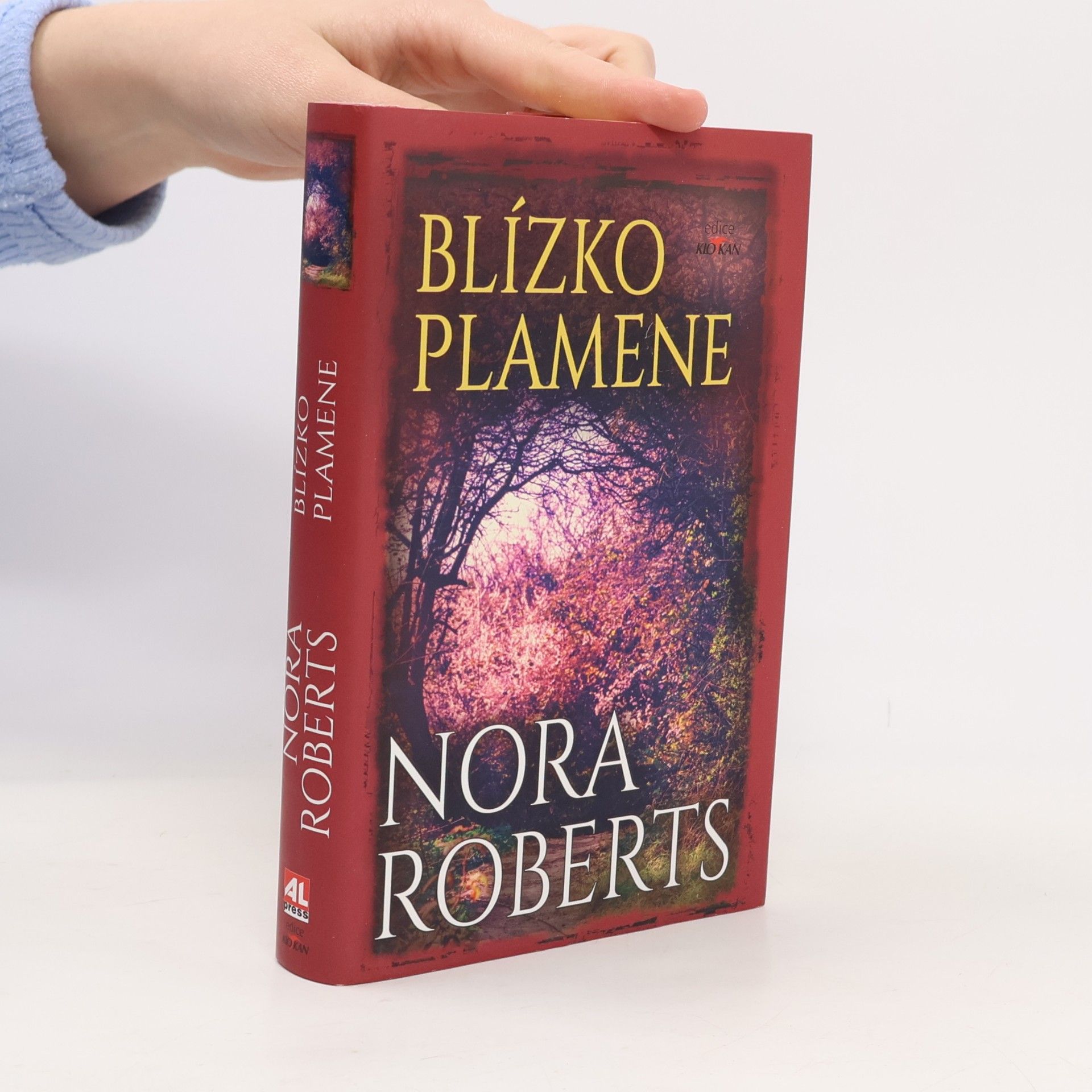 Blízko plamene