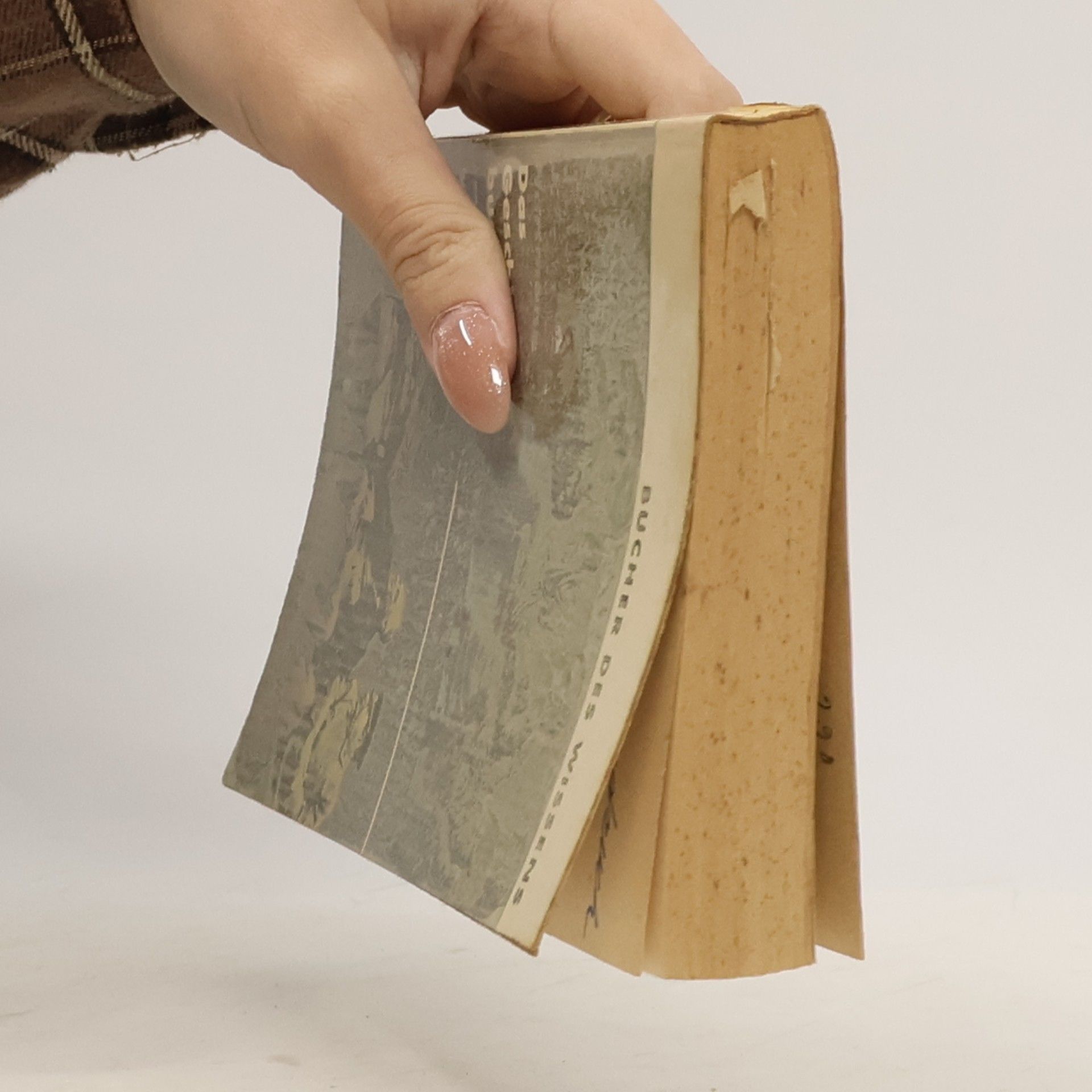 Johannes Hartmann Das Geschichtsbuch