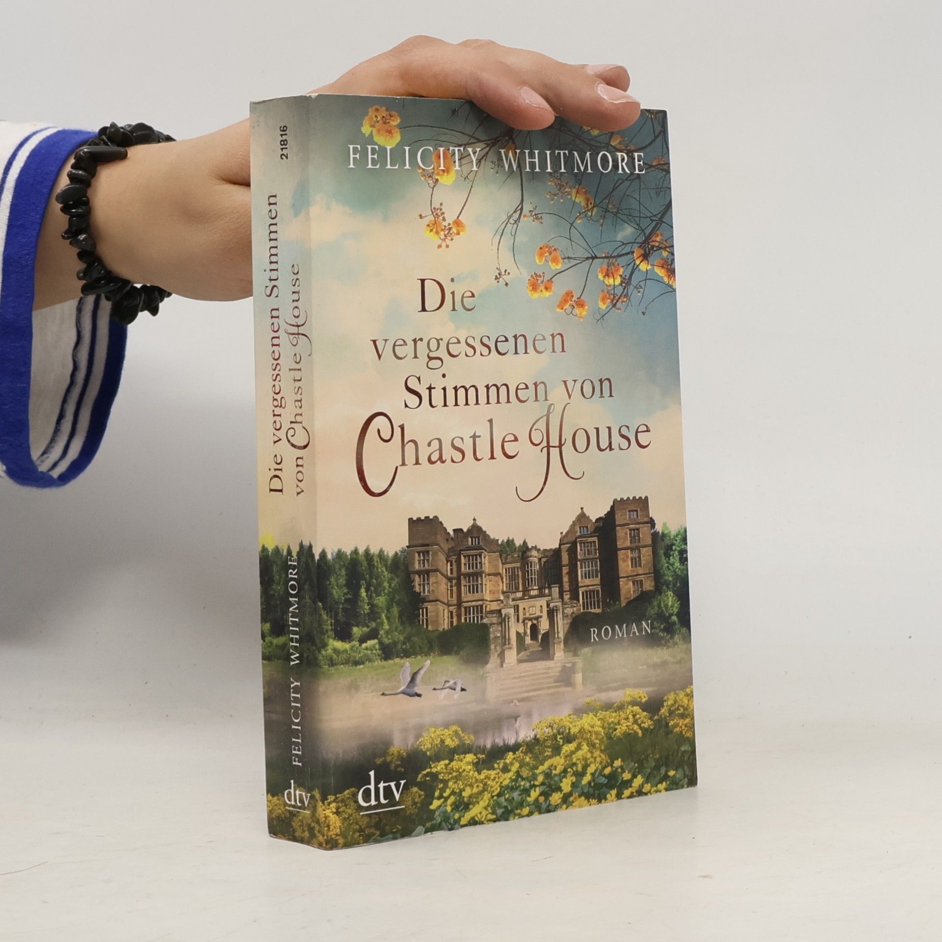 Die vergessenen Stimmen von Chastle House