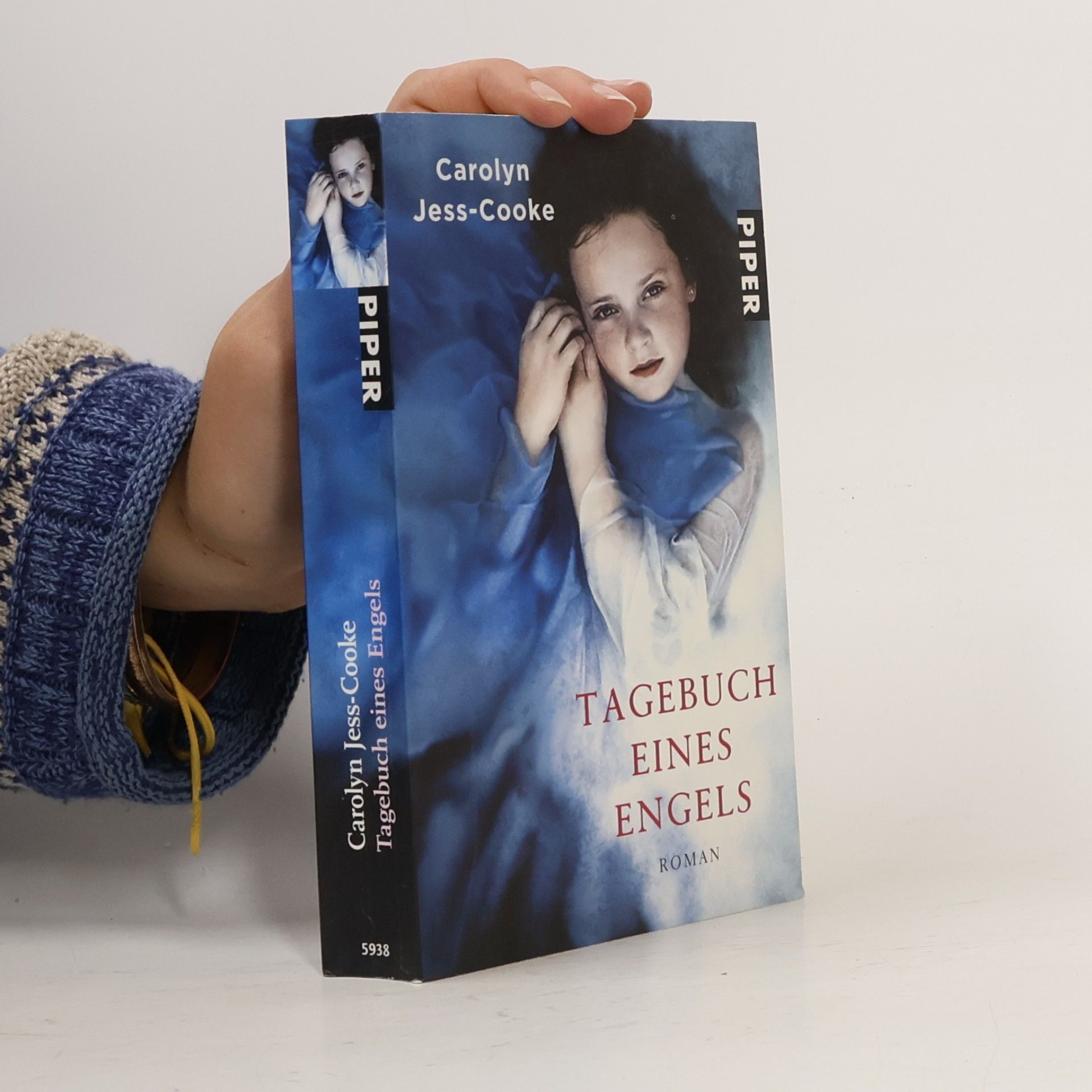 Carolyn Jess-Cooke Tagebuch eines Engels (Deník anděla)