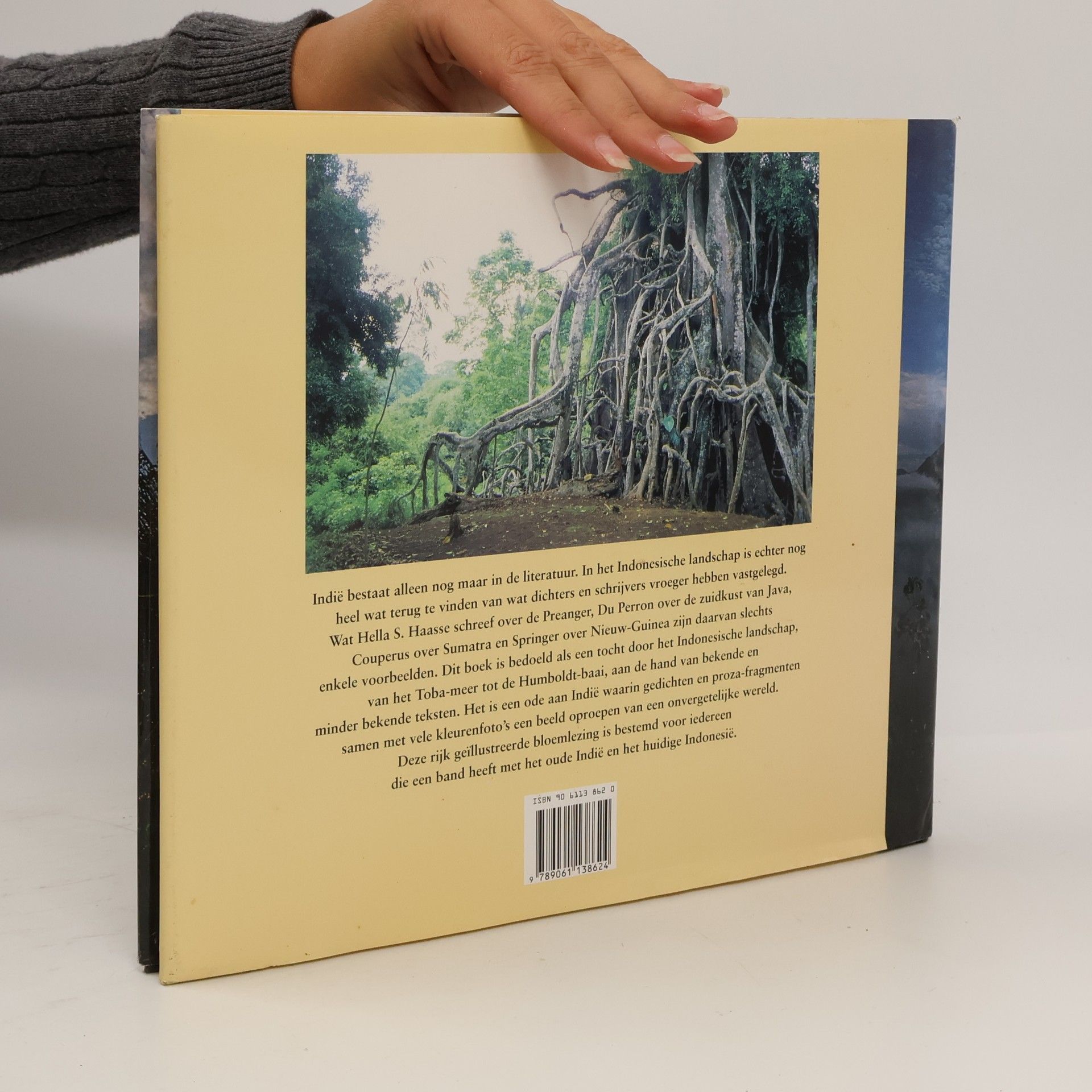 INDISCH LANDSCHAP