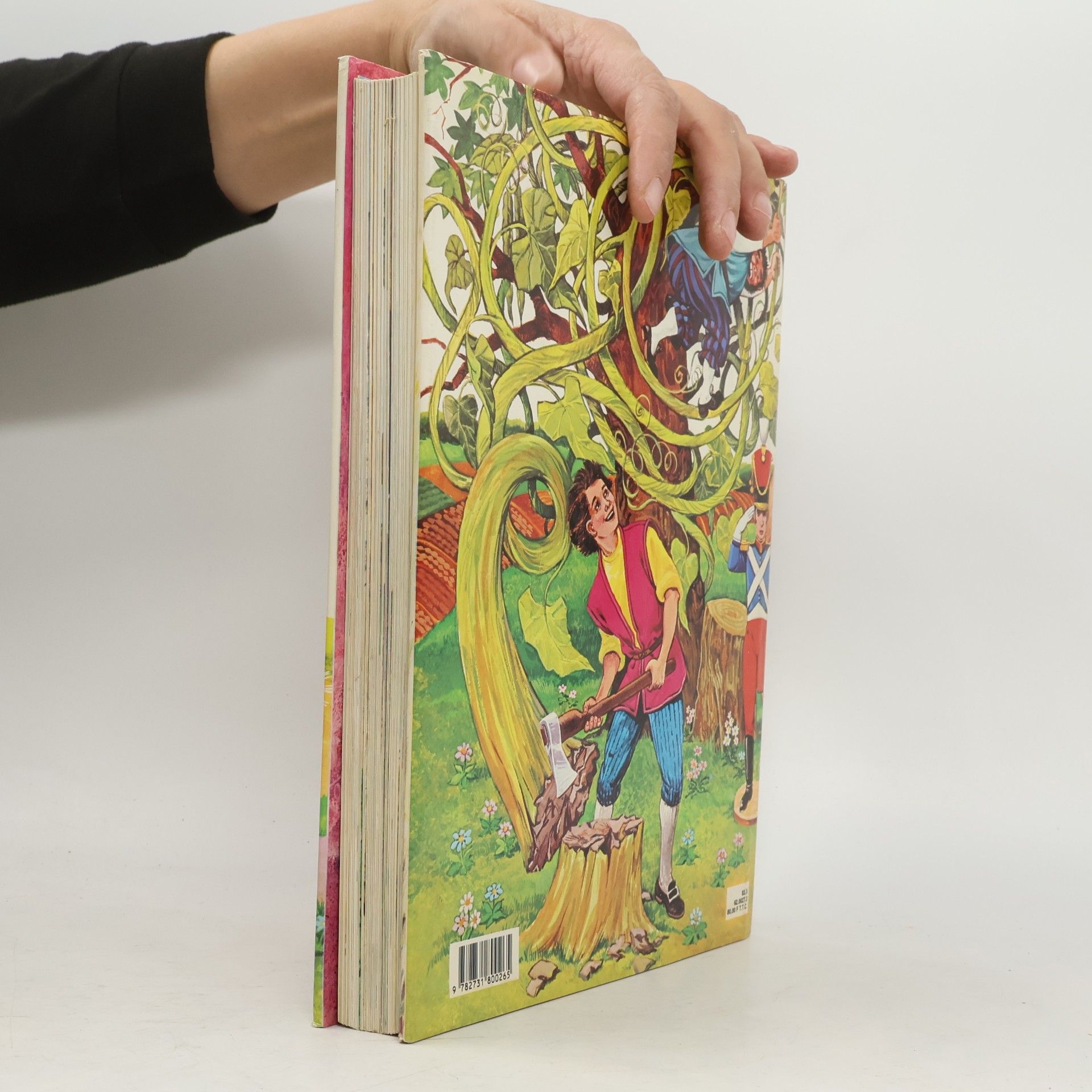 Various authors 50 contes et histoires enchantées