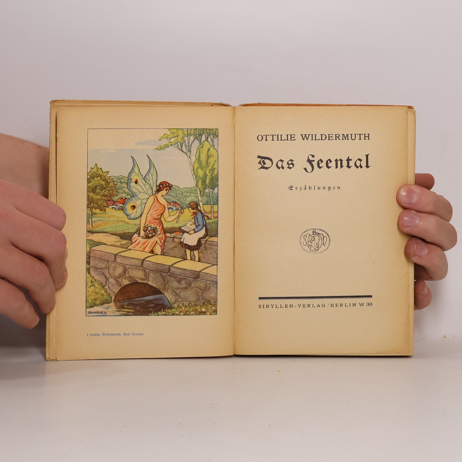 Ottilie Wildermuth Das Feental