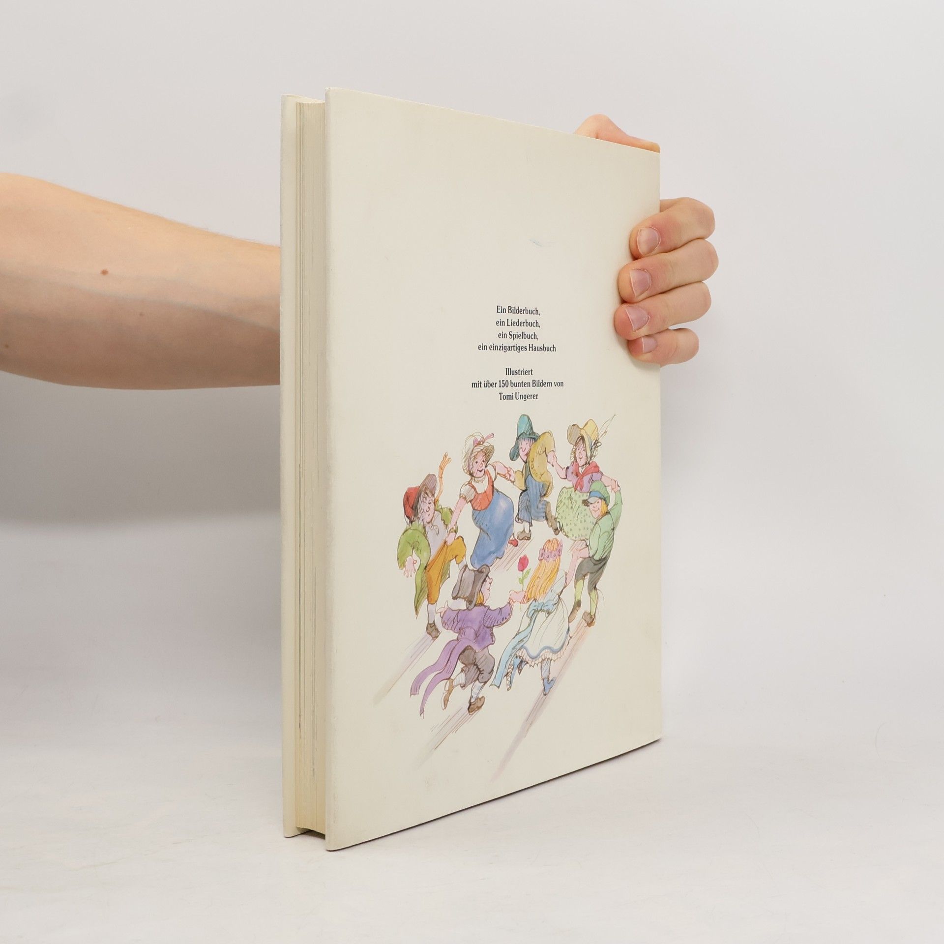 Autores varios Das große Liederbuch