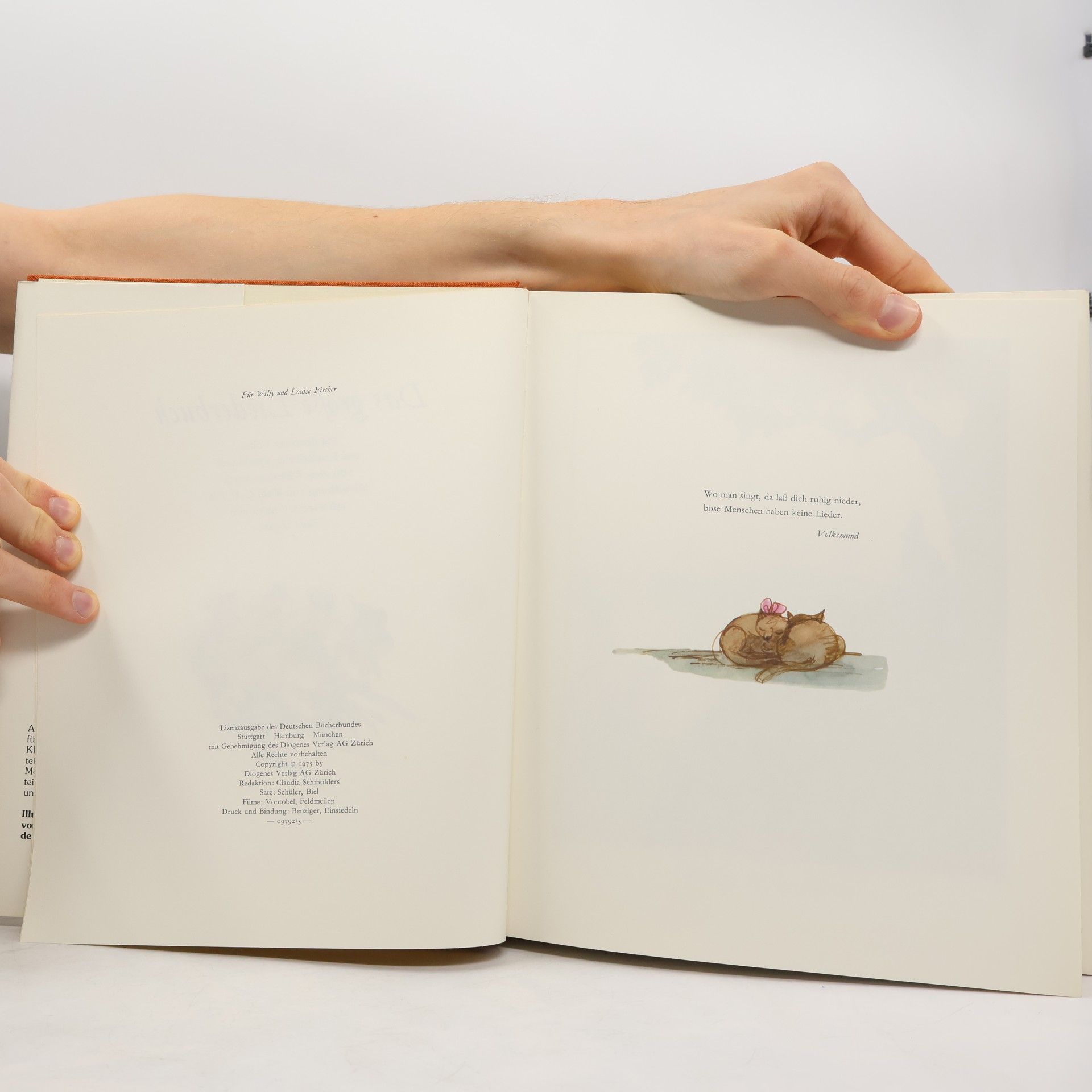 Autores varios Das große Liederbuch