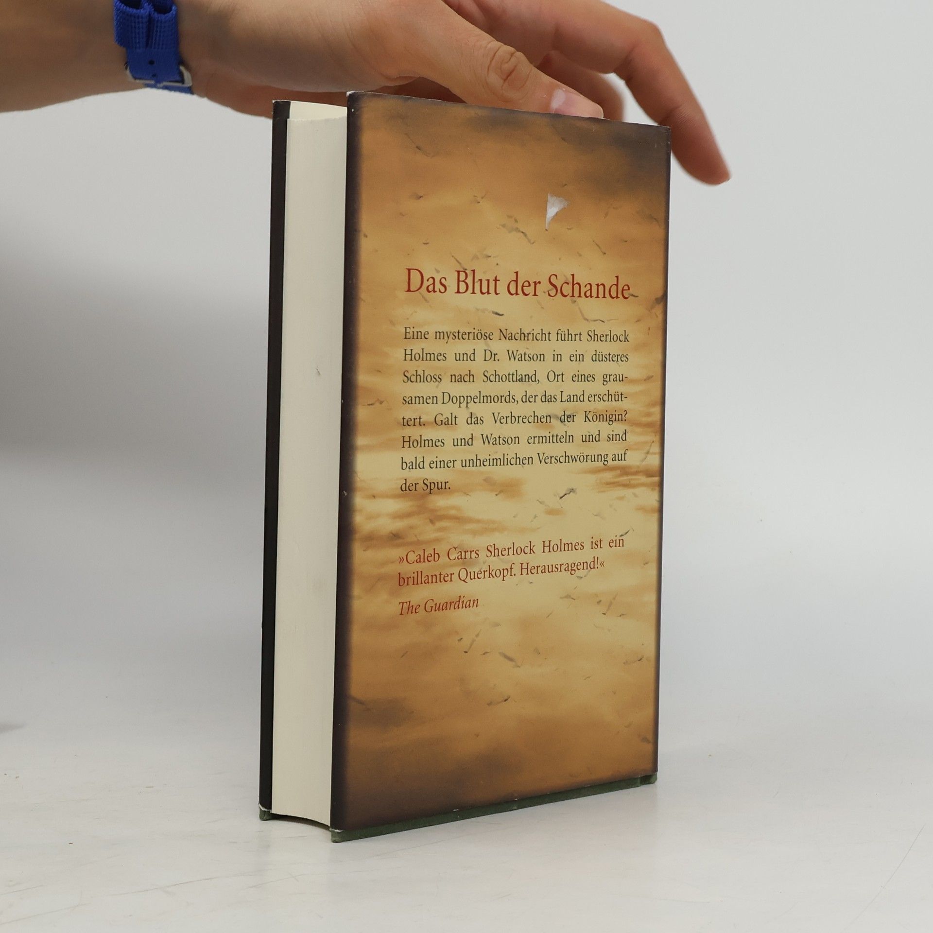 Caleb Carr Das Blut der Schande