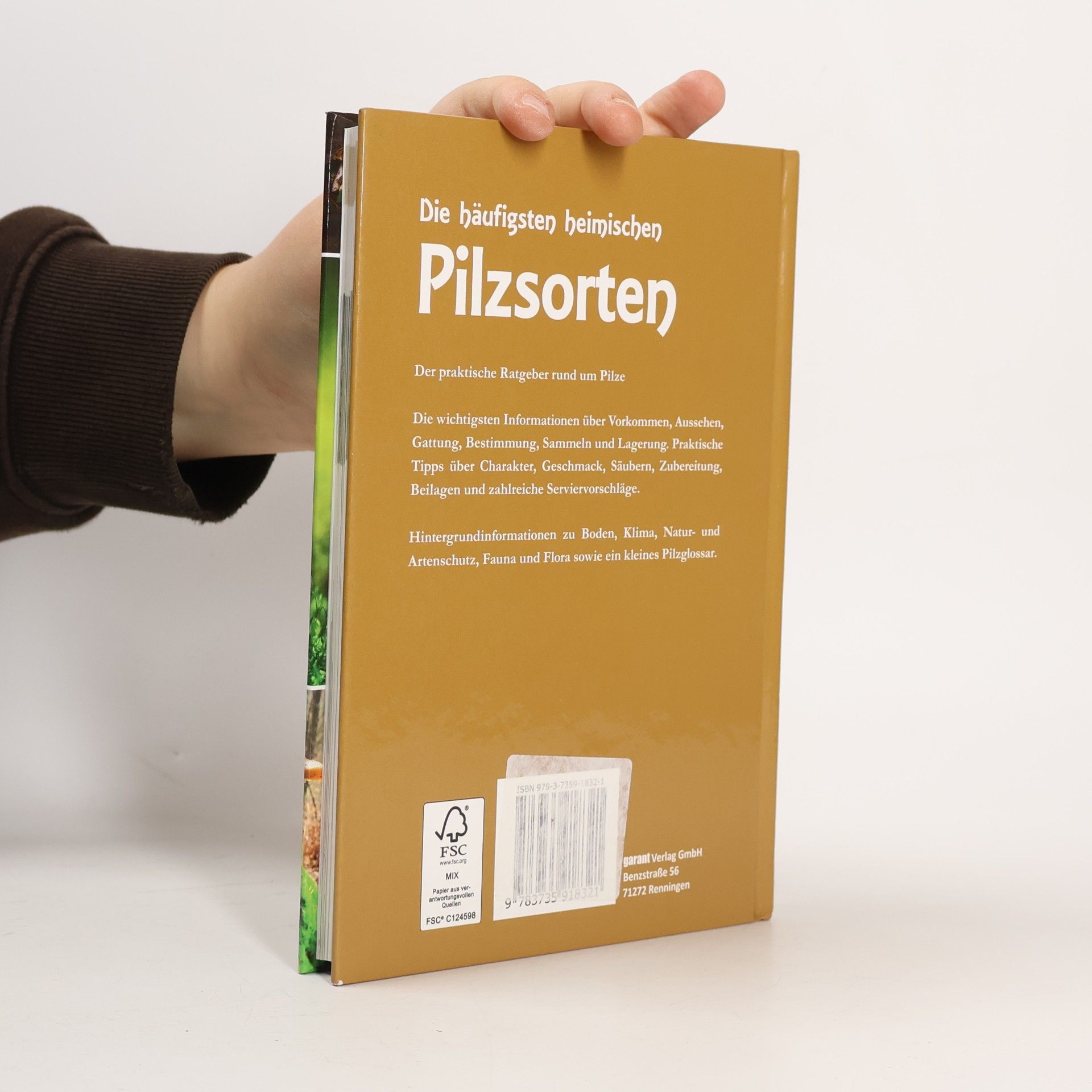 Werner Strasdat Die häufigsten heimischen Pilzsorten