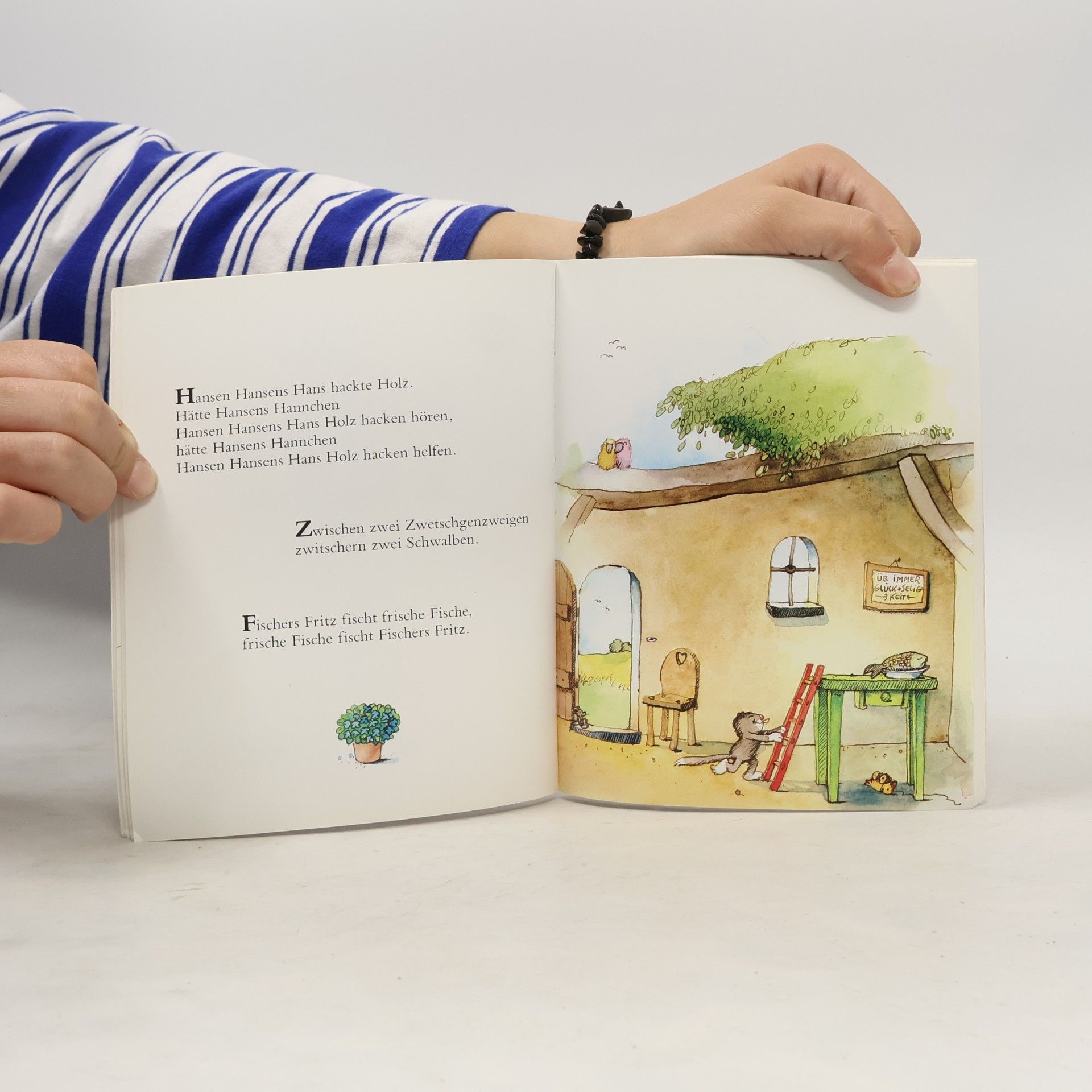 Janosch Das kleine Kinderreimebuch
