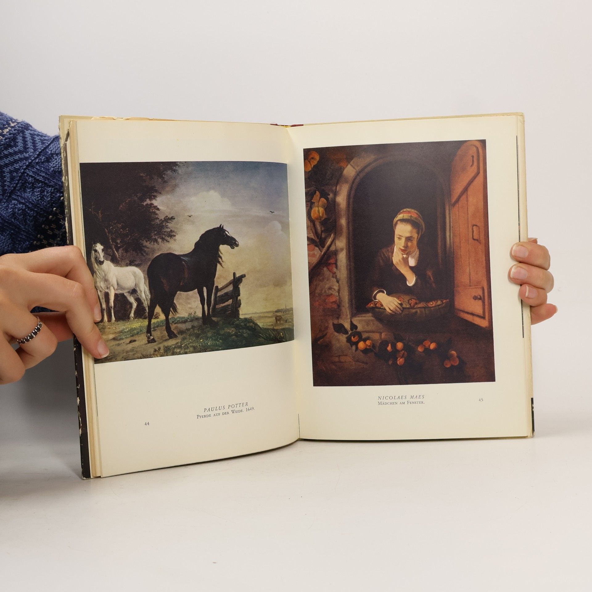 Autorenkollektiv Meisterwerke de holländischen Malerei